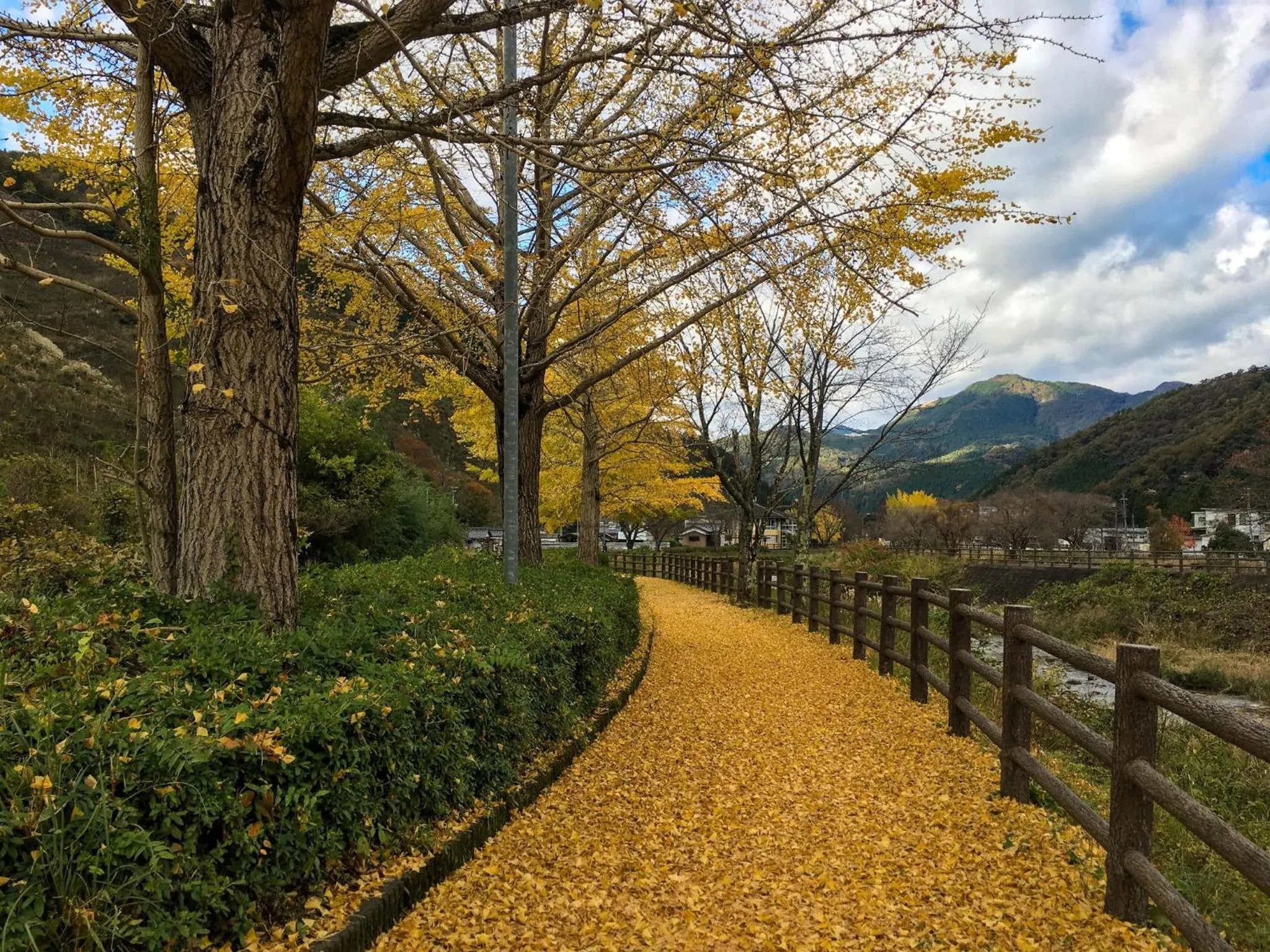 Hatake no Oyado - Vacation STAY 74494v