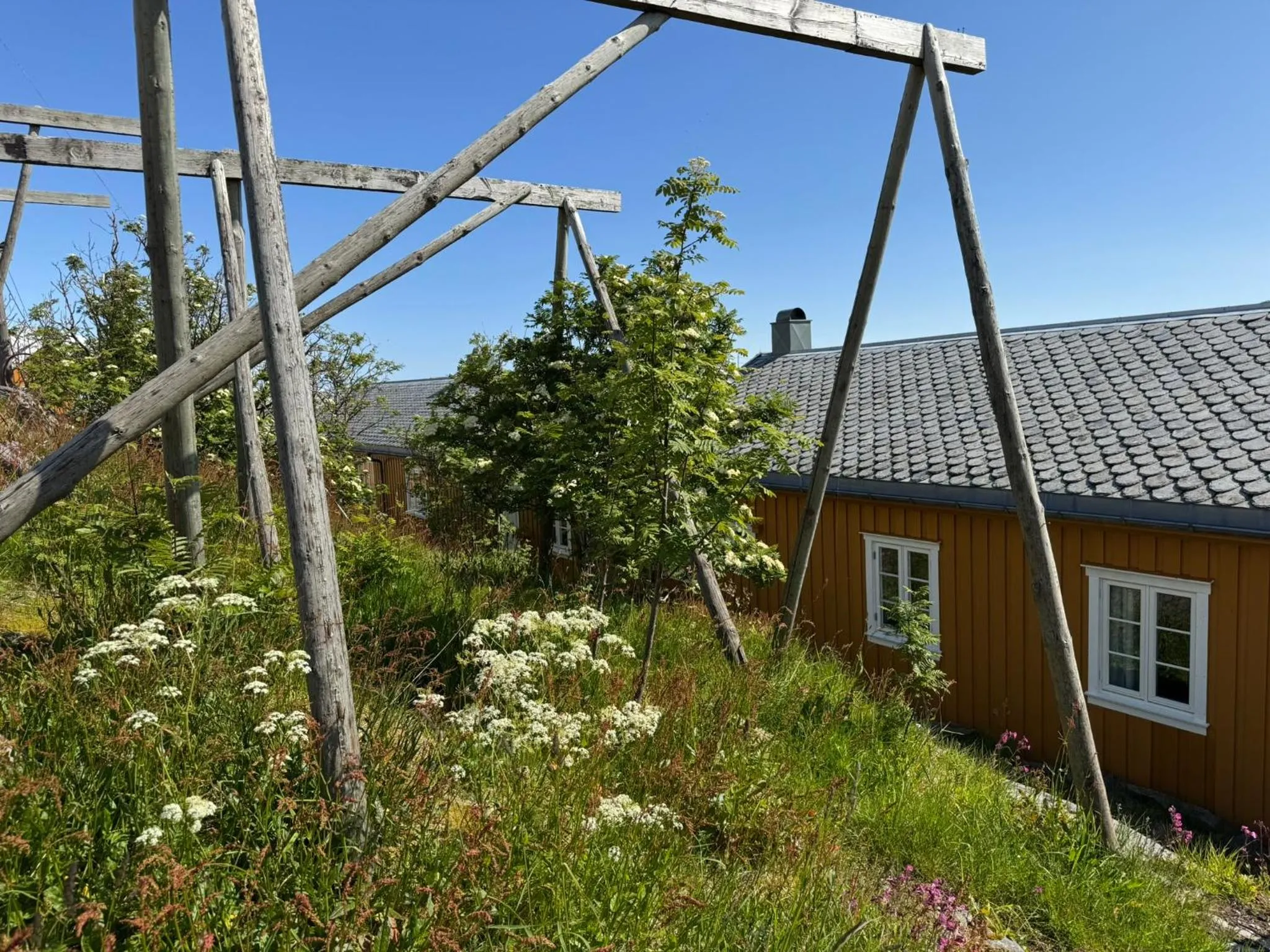 Other in Sakrisøy Rorbuer