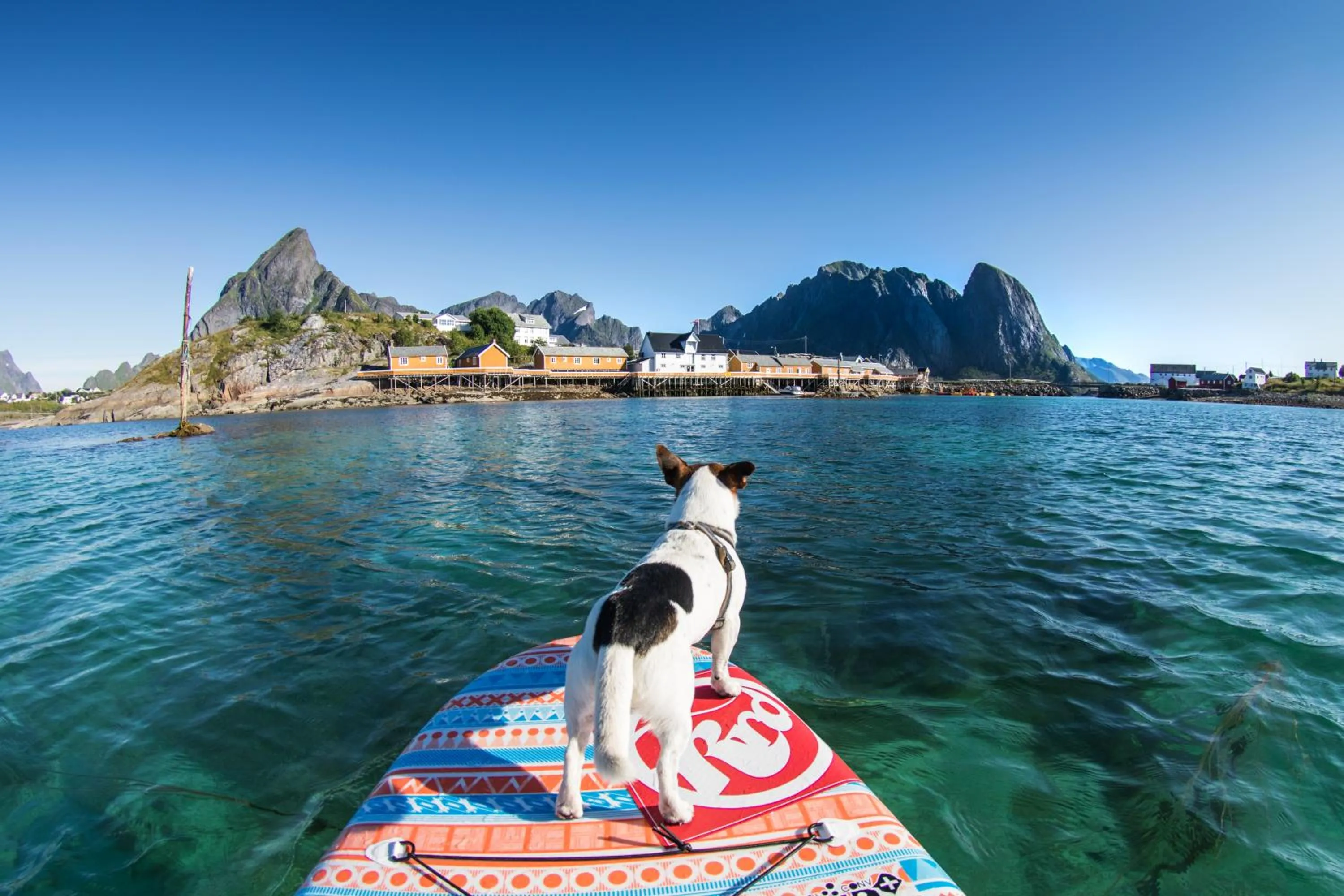 Activities in Sakrisøy Rorbuer