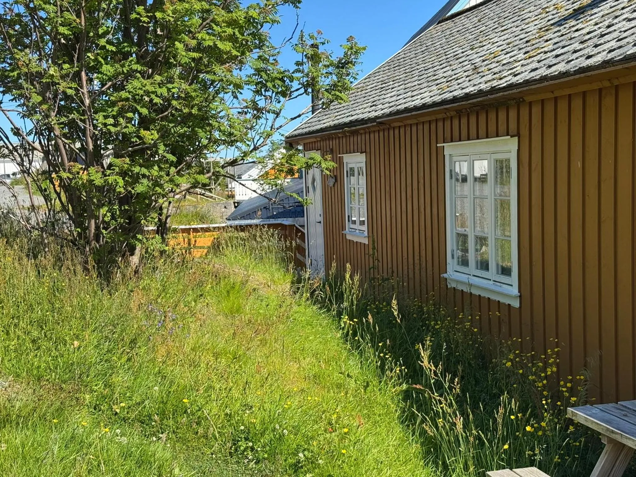 Other in Sakrisøy Rorbuer