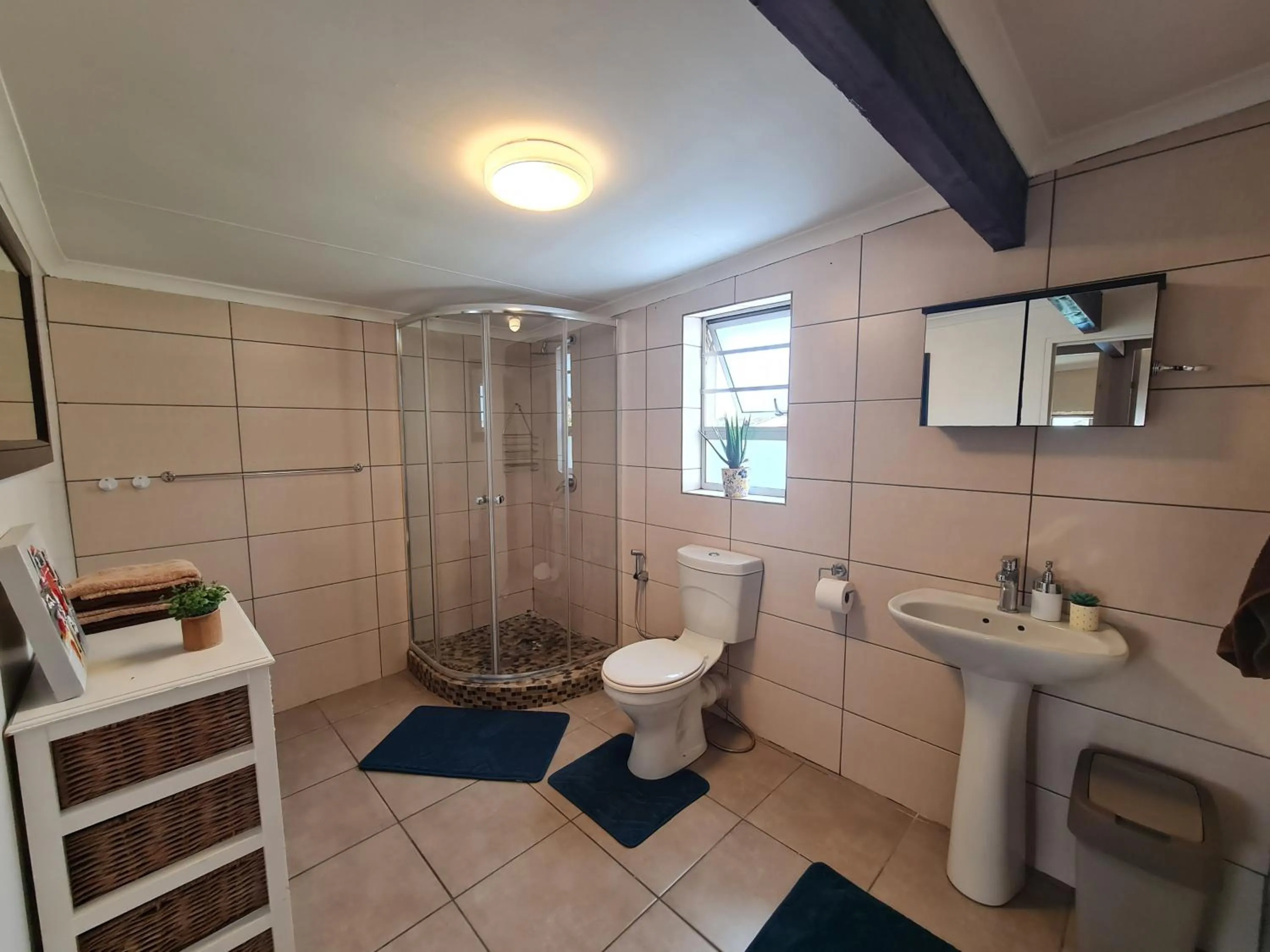 Shower in Walters Lane Comfort Apartment 2 - No Loadshedding