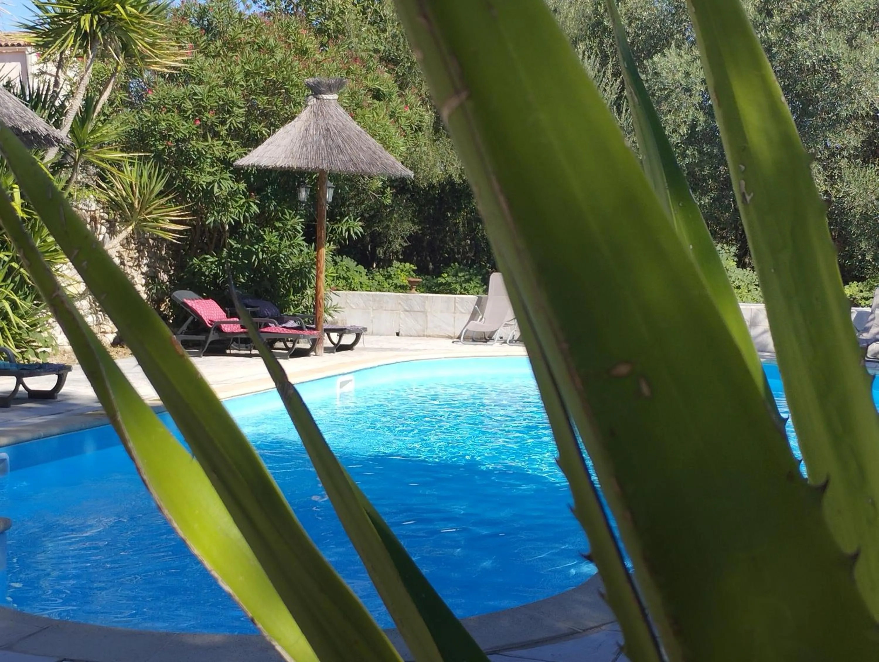 Swimming pool in Logis Hotel Restaurant L'Esquielle