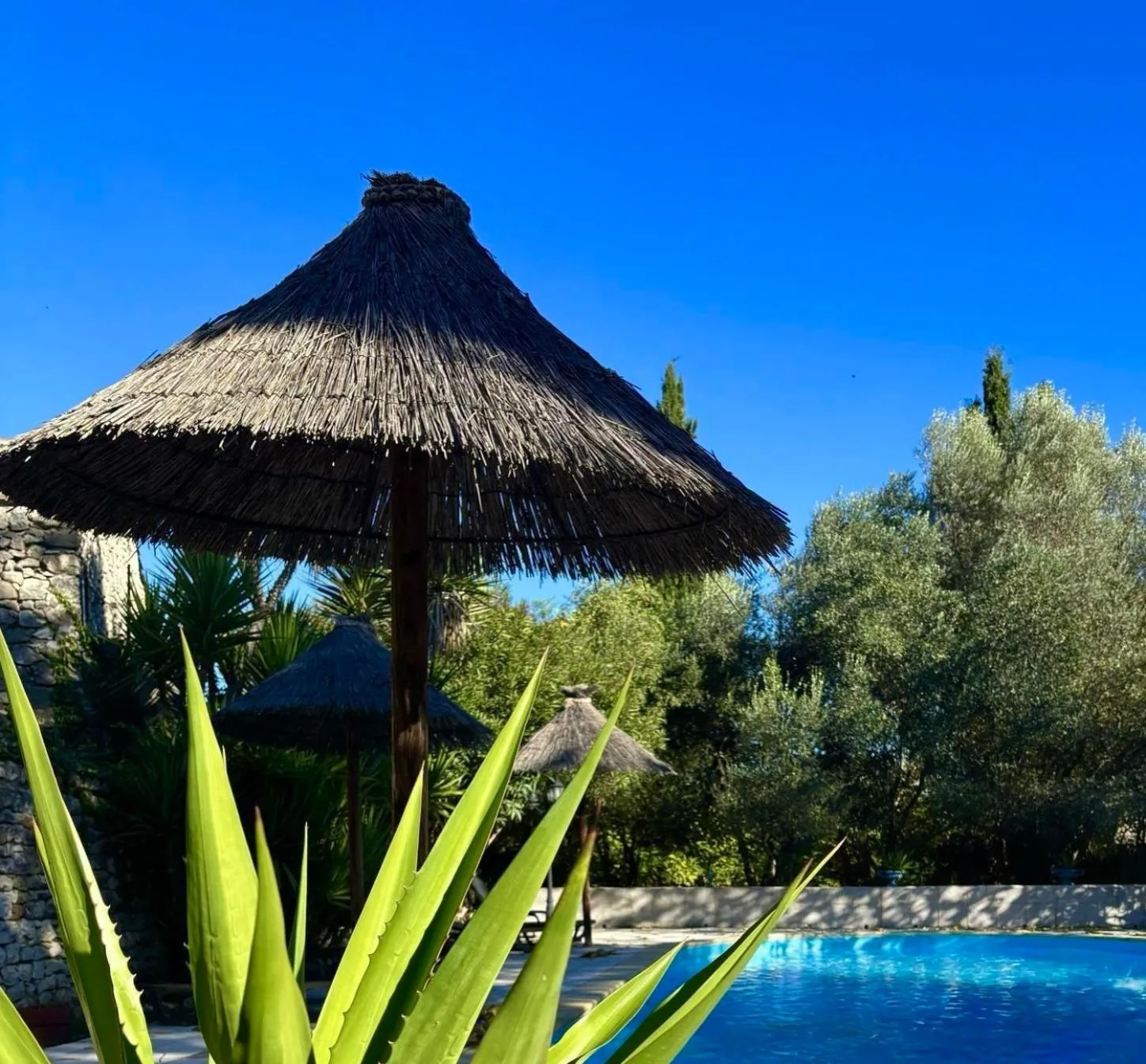 Logis Hotel Restaurant L'Esquielle