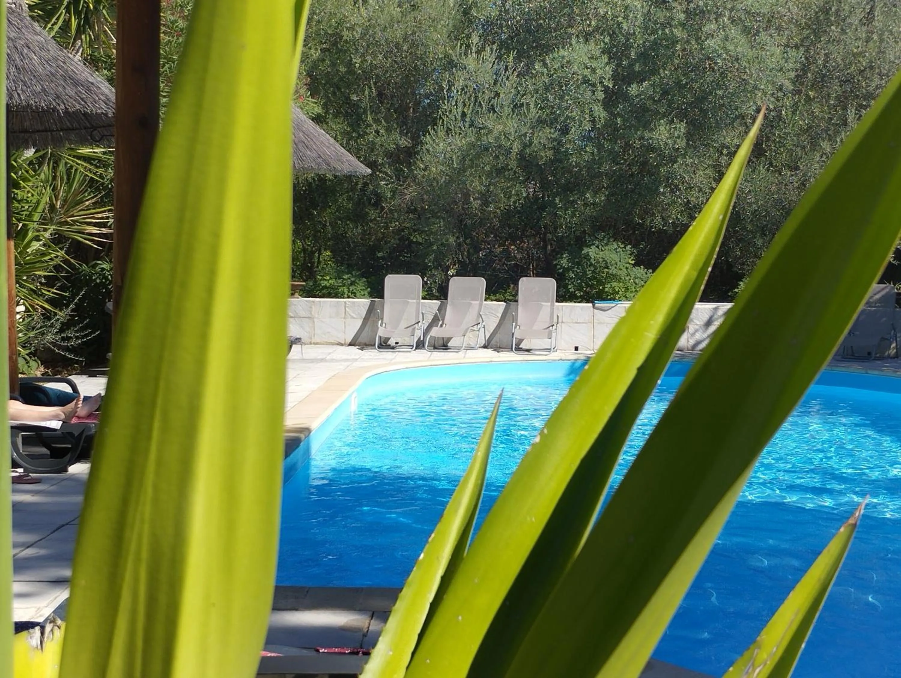 Swimming pool in Logis Hotel Restaurant L'Esquielle