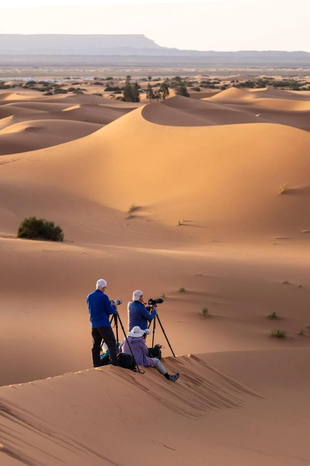 Takojt