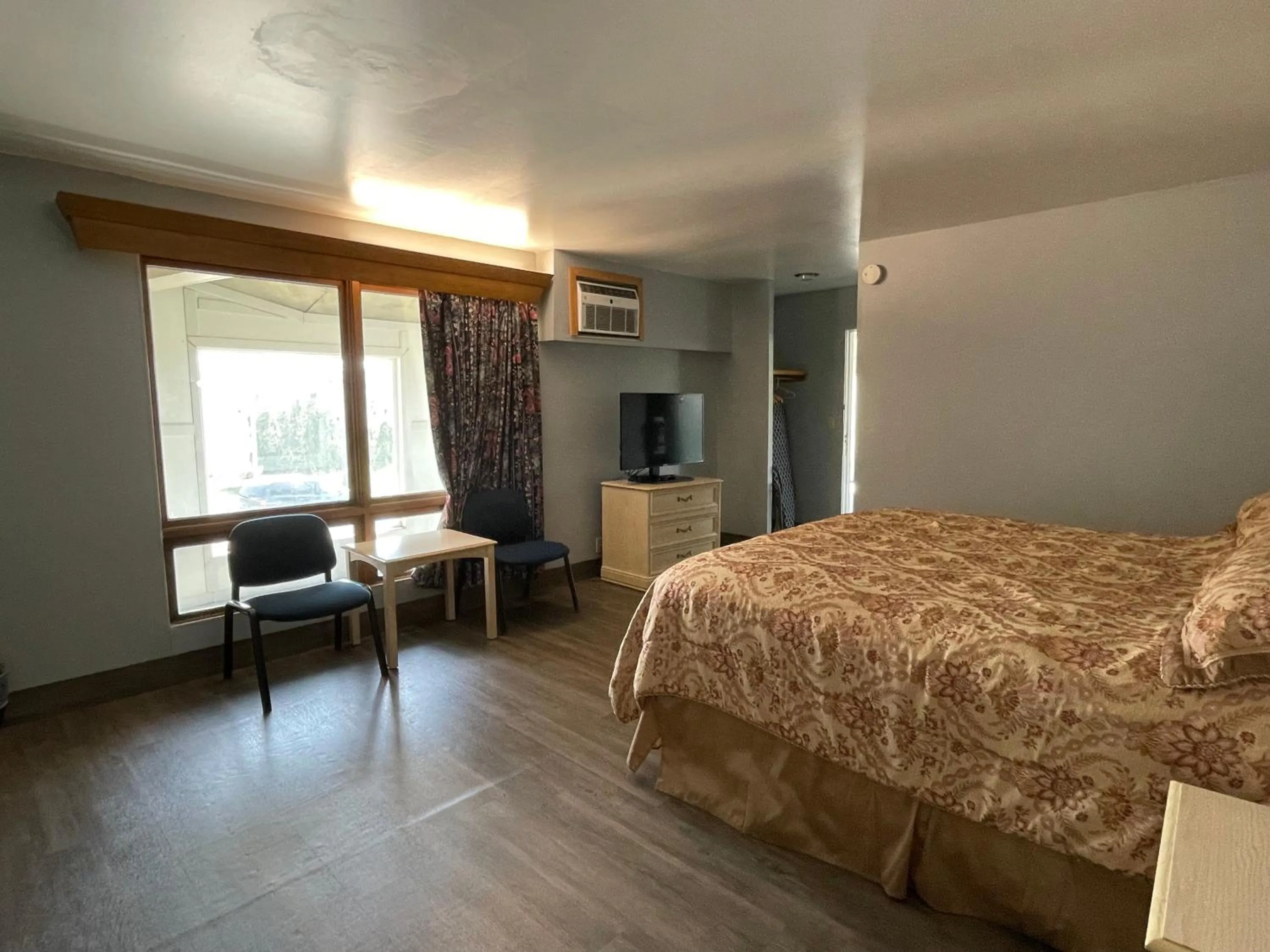 Photo of the whole room, Bed in Executive Inn