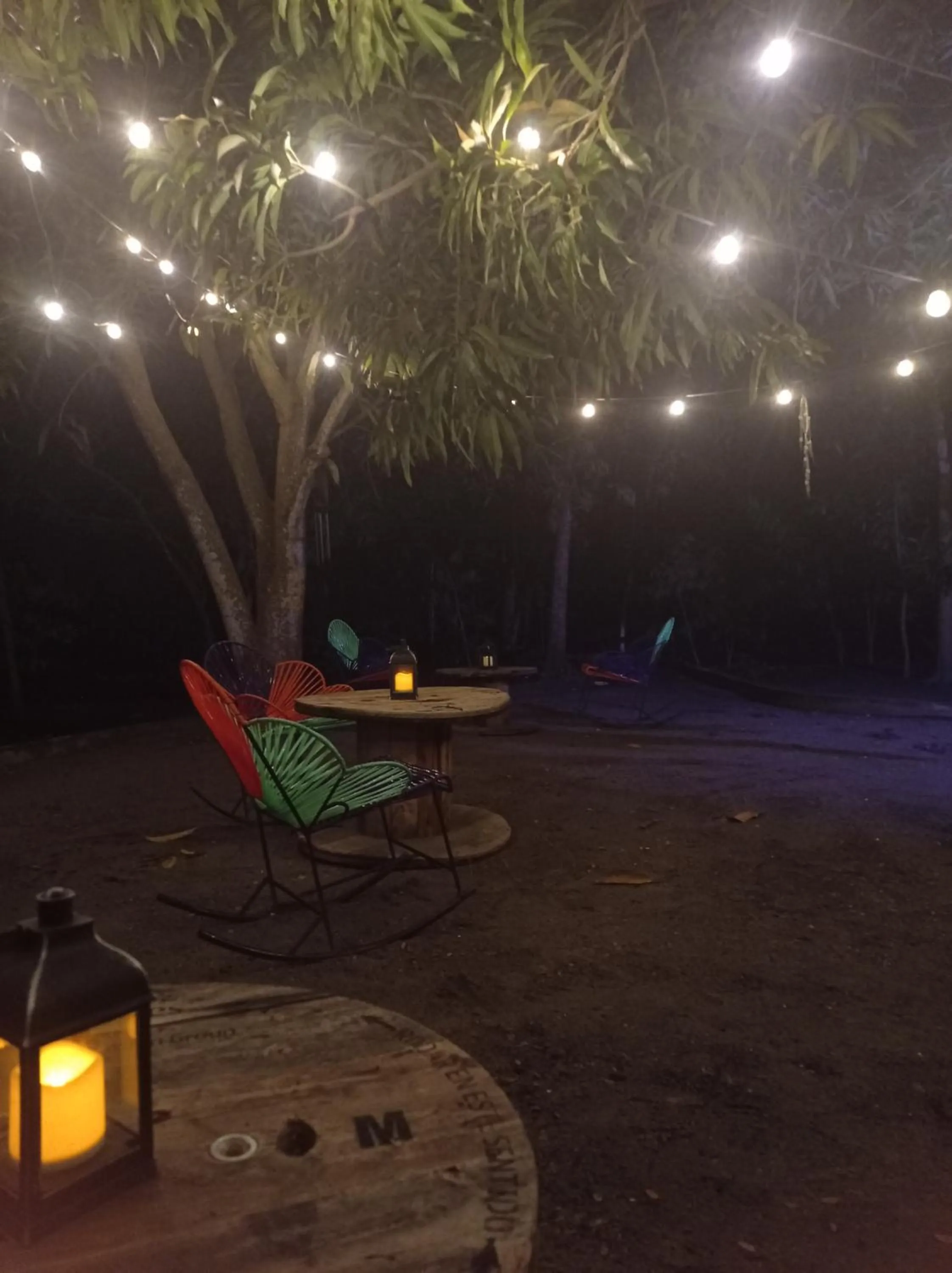 Lounge or bar in Cabañas Los Venaos