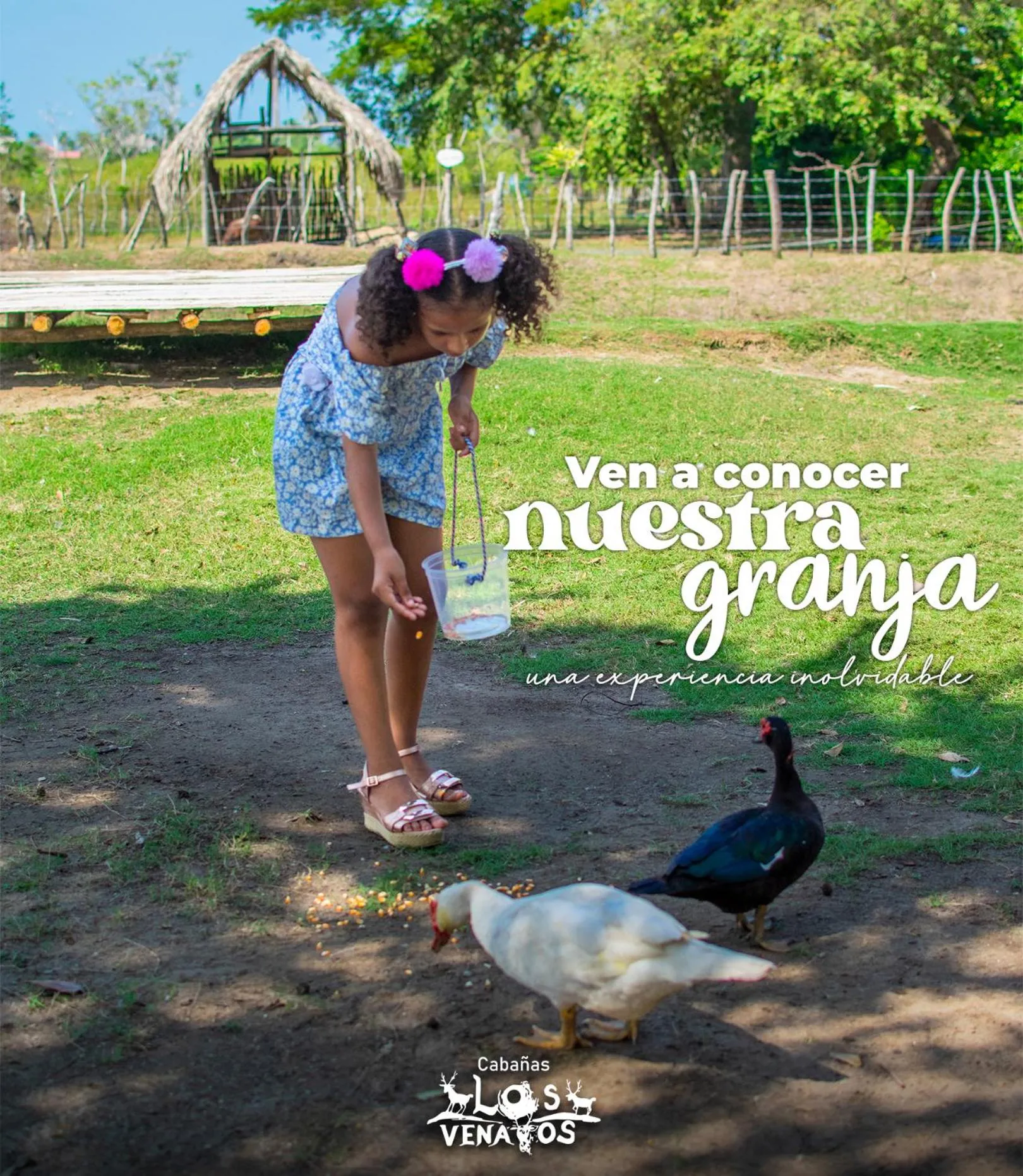 Area and facilities in Cabañas Los Venaos