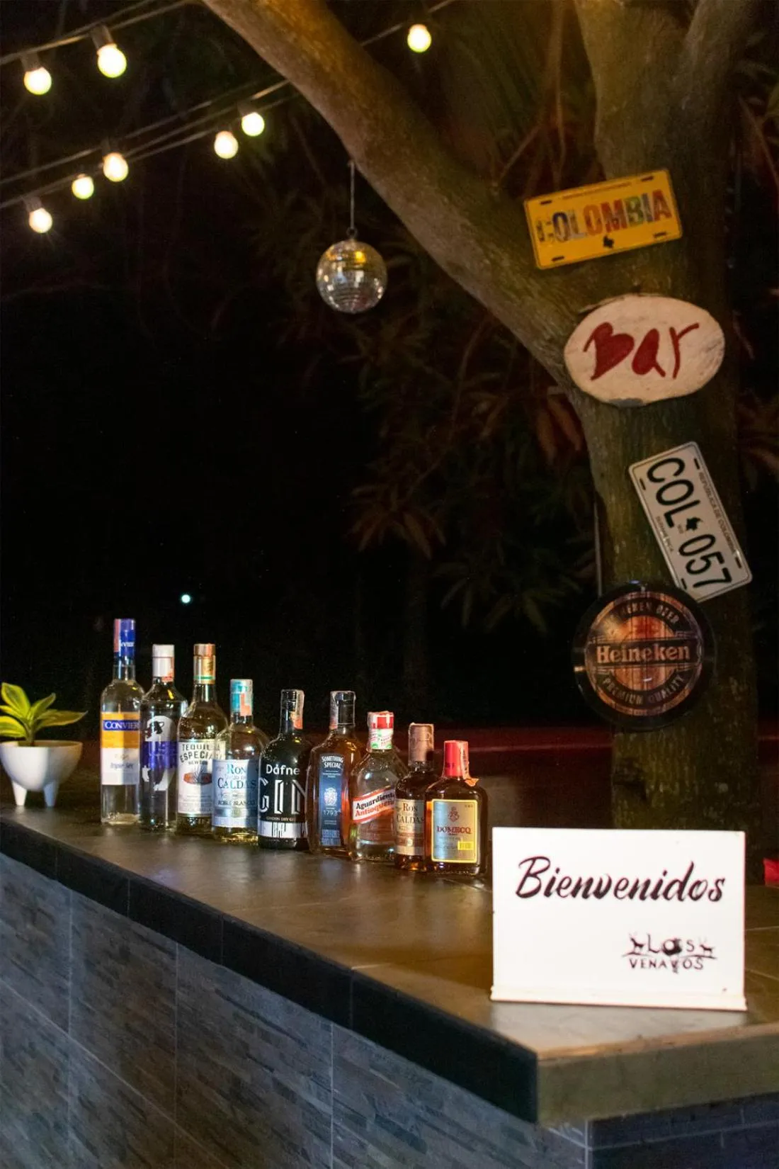 Lounge or bar in Cabañas Los Venaos