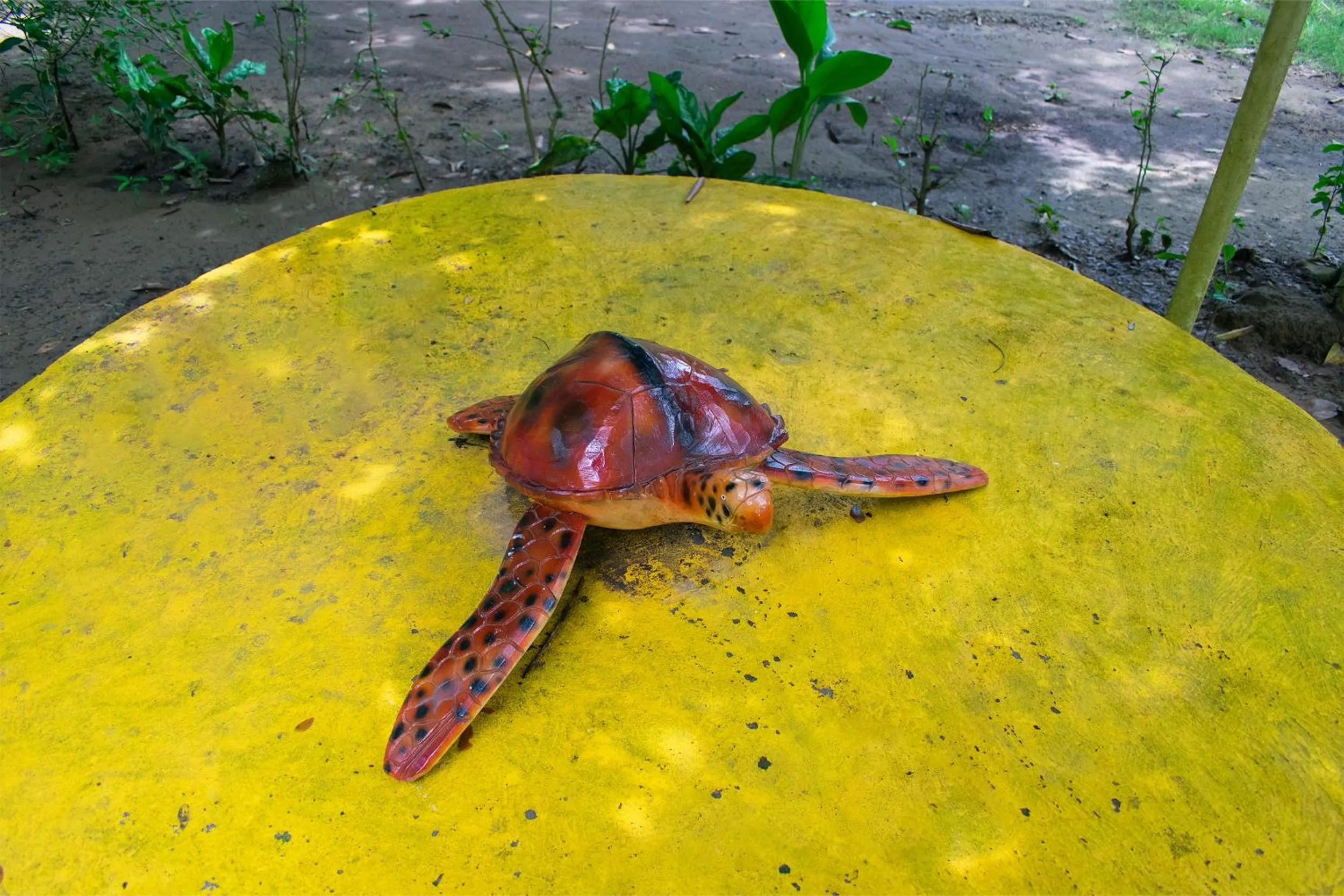 Patio in Cabañas Los Venaos