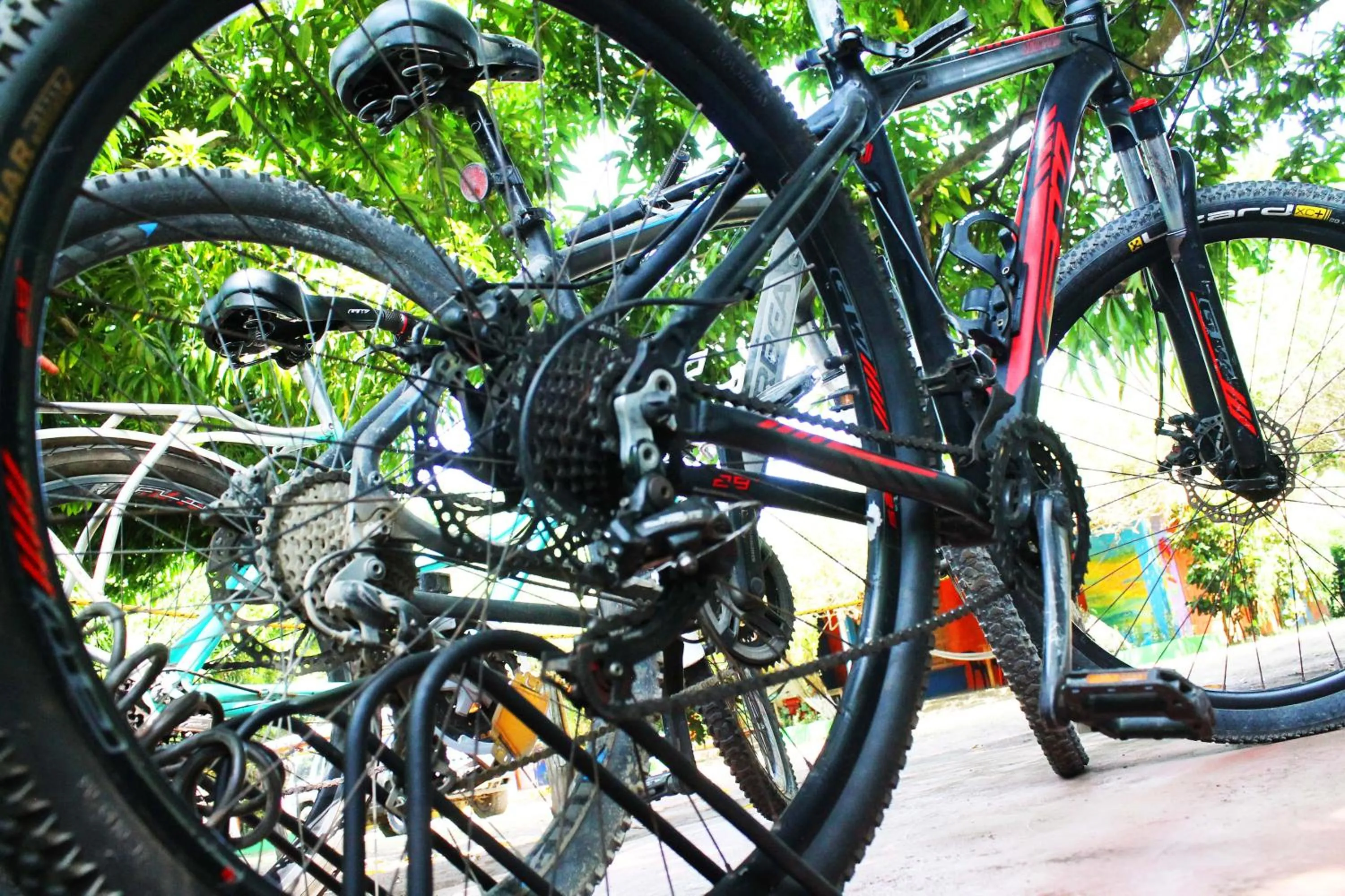 Cycling in Cabañas Los Venaos