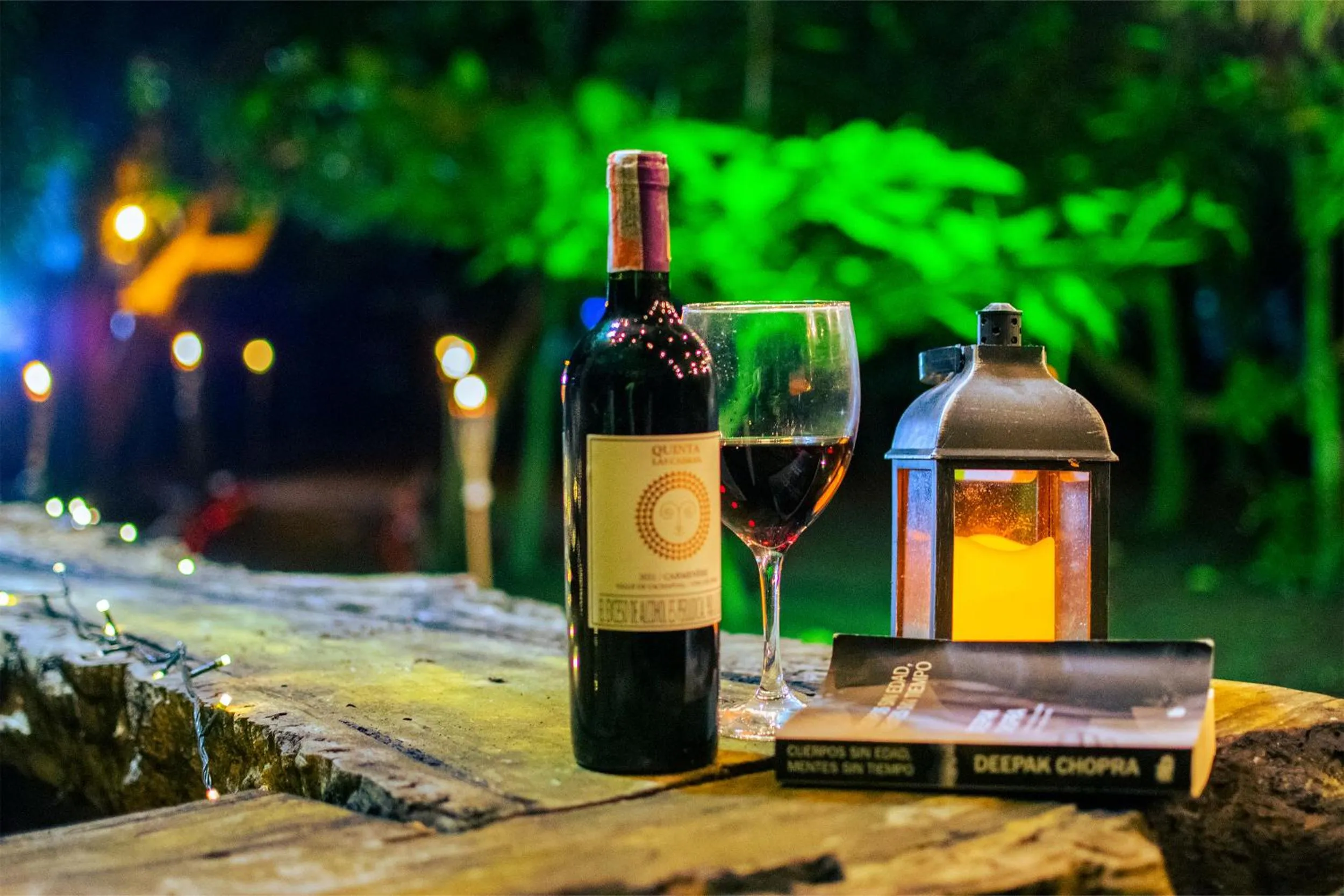 Lounge or bar in Cabañas Los Venaos