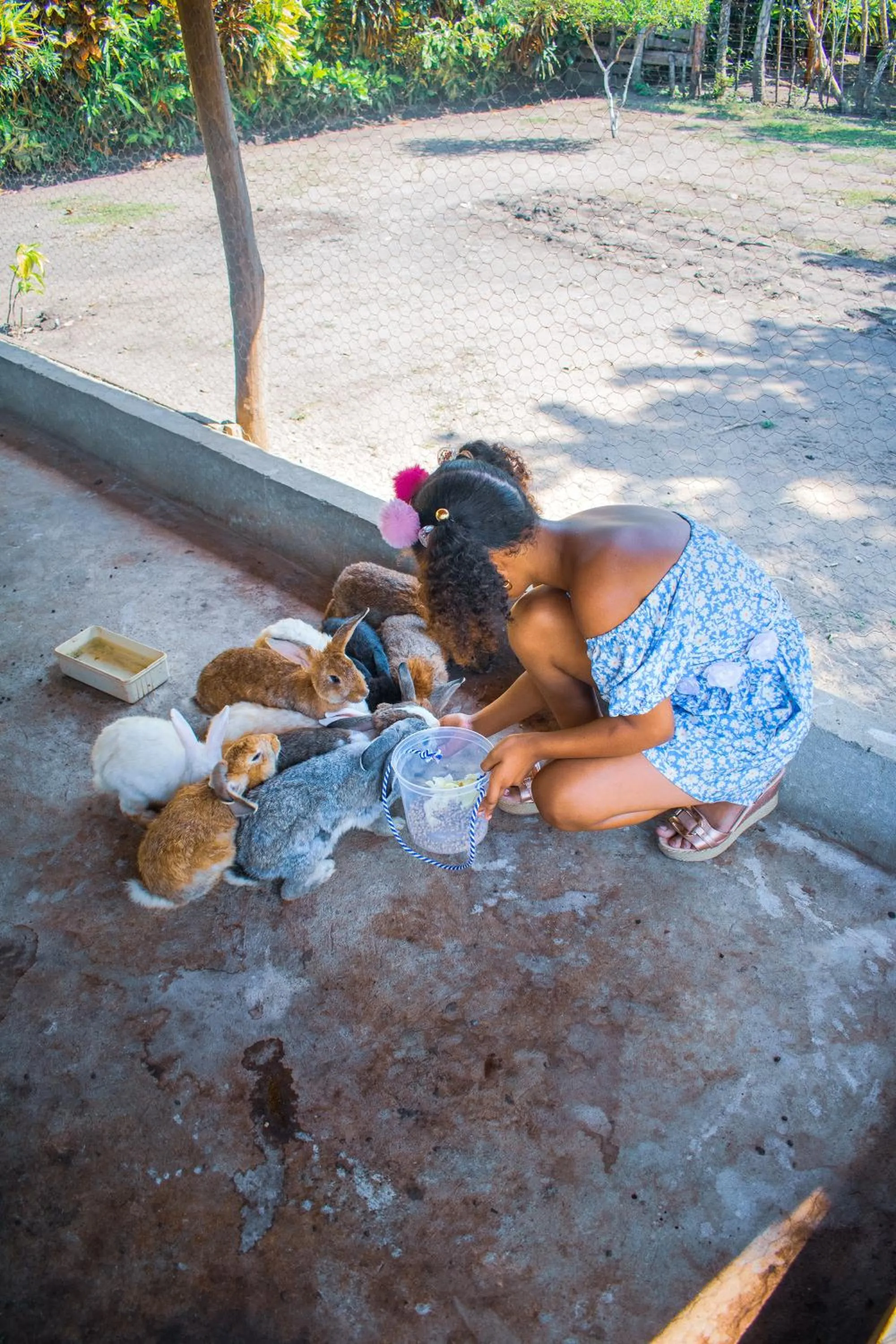 Animals in Cabañas Los Venaos