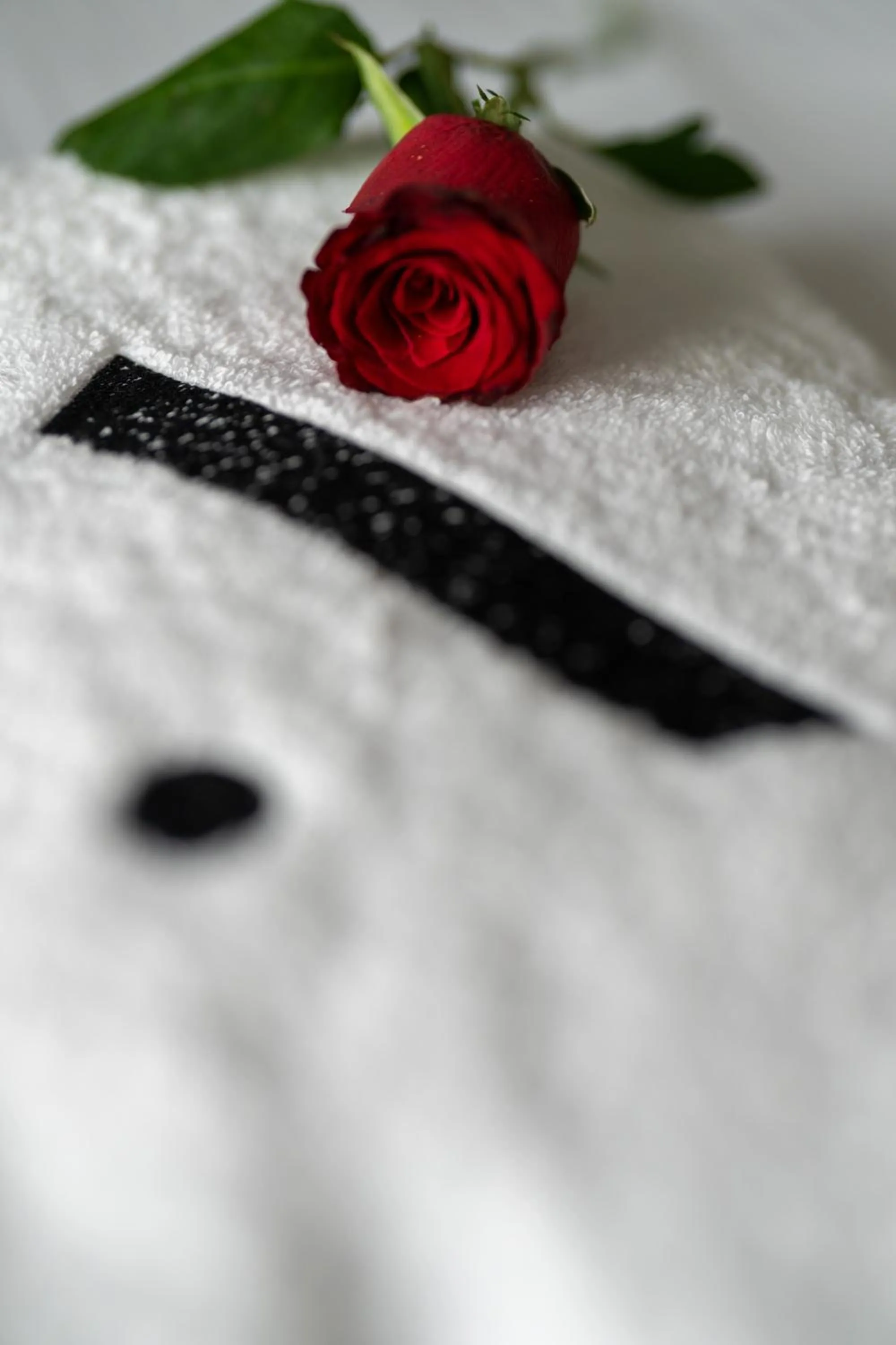 Athinaion Recreation Suites