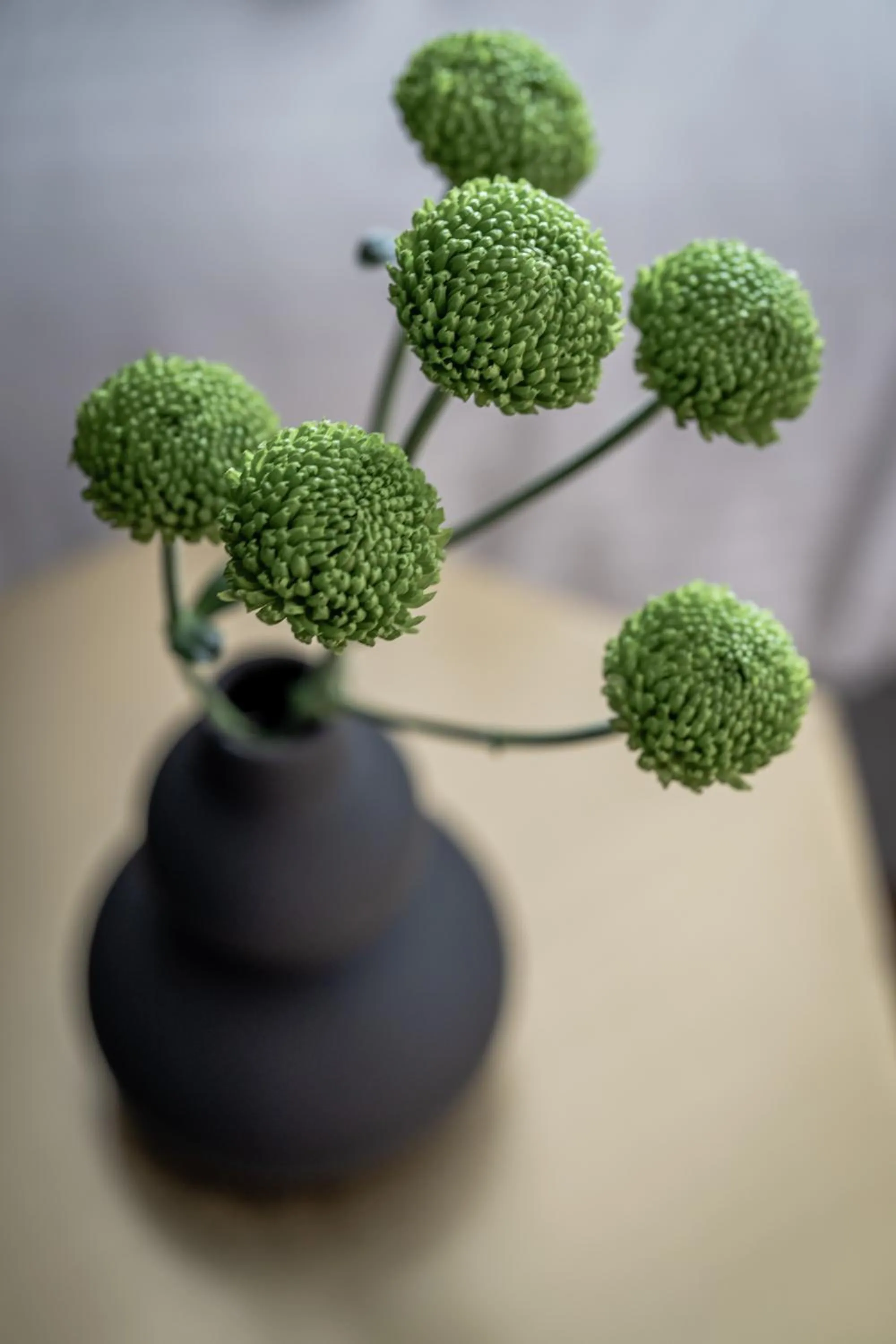 Athinaion Recreation Suites