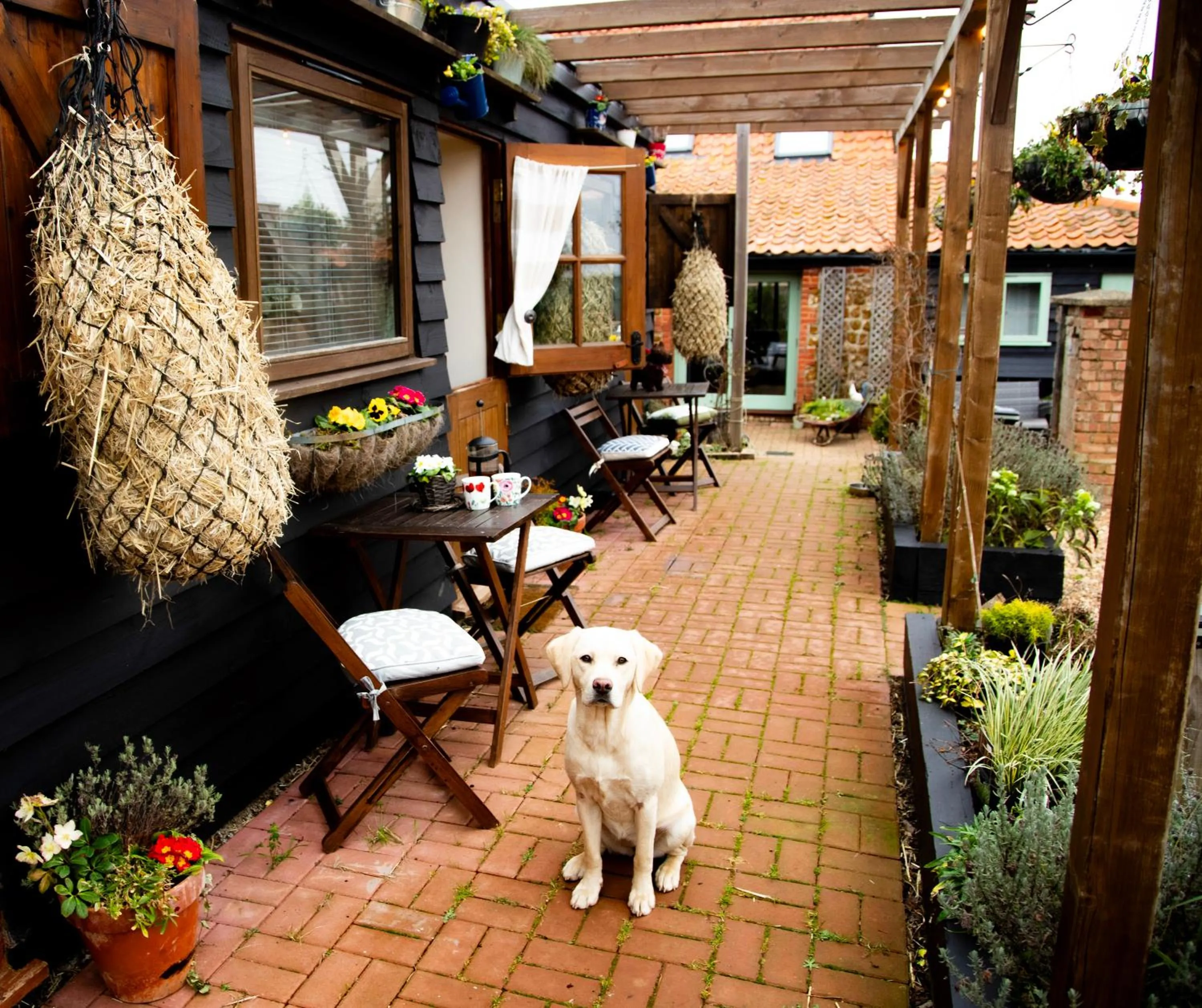 Property building in Norfolk Accommodation