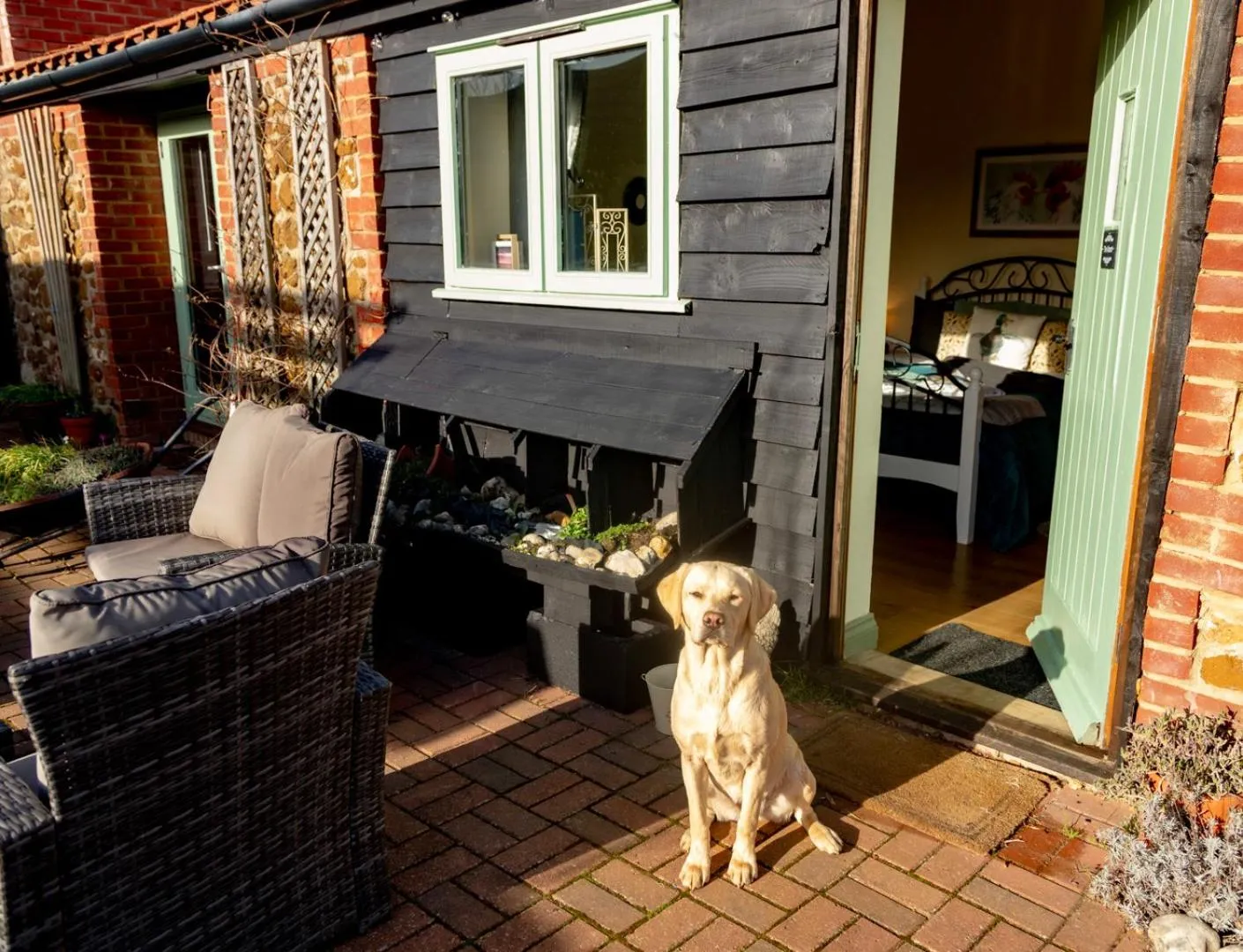 pet friendly in Norfolk Accommodation