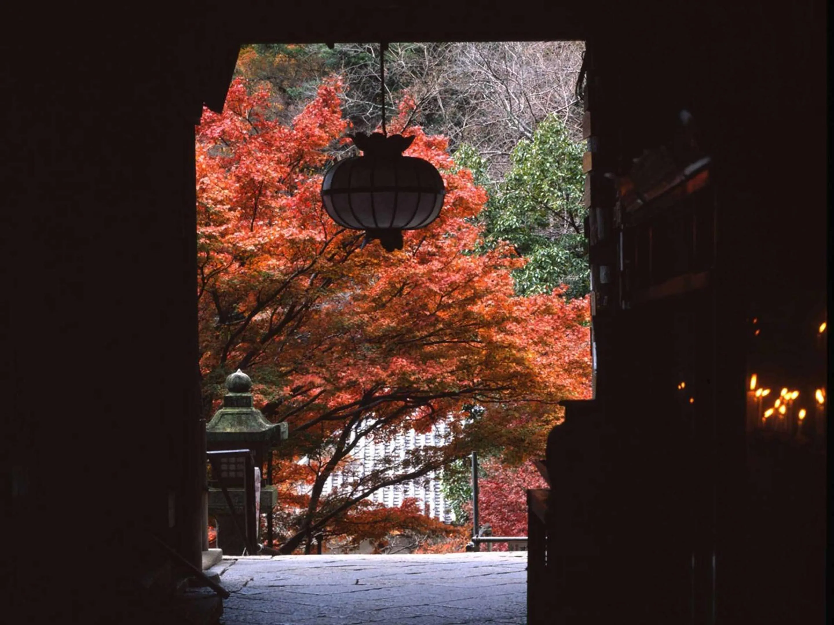 Nearby landmark in Itaniya