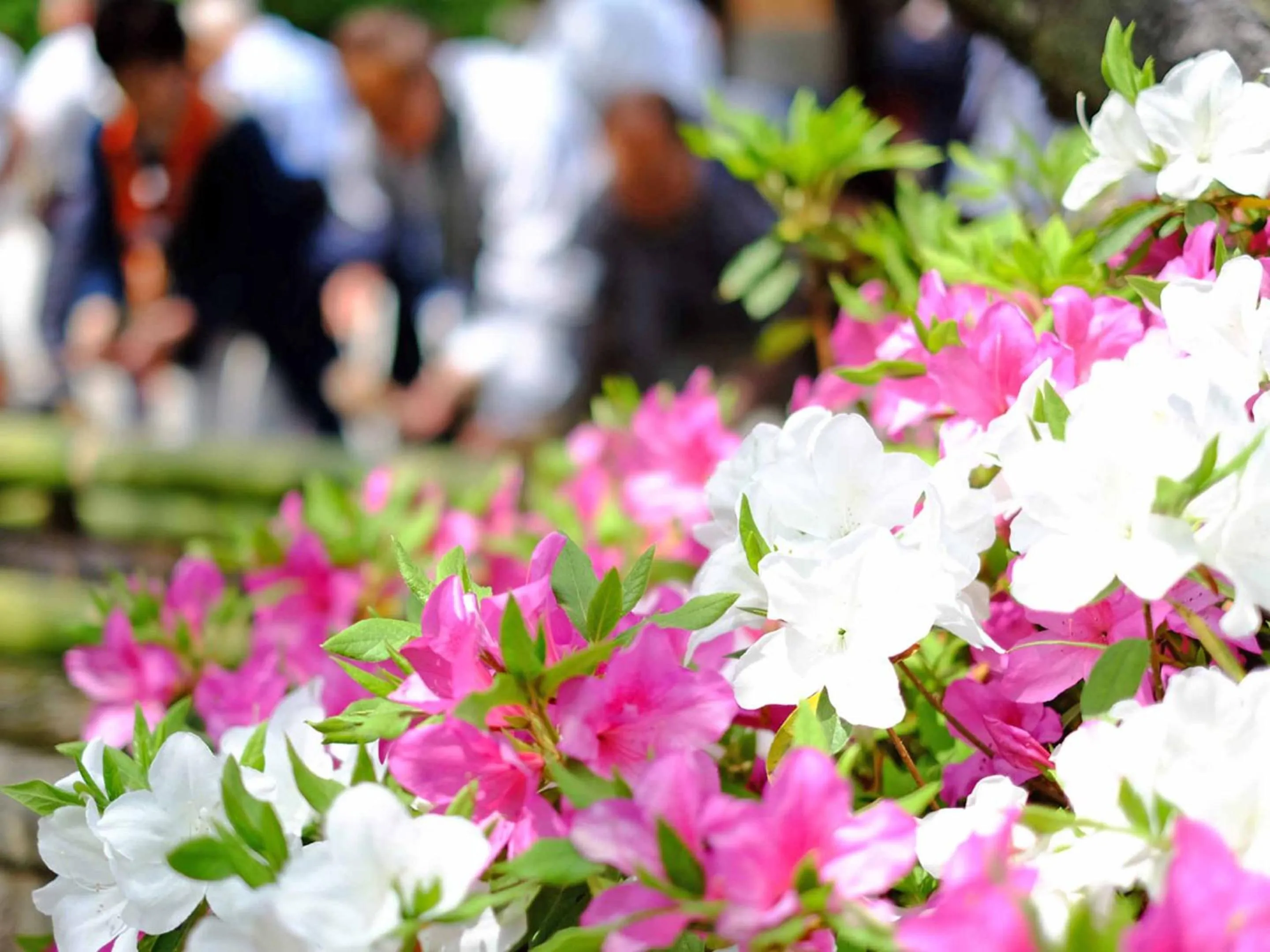 Nearby landmark in Itaniya