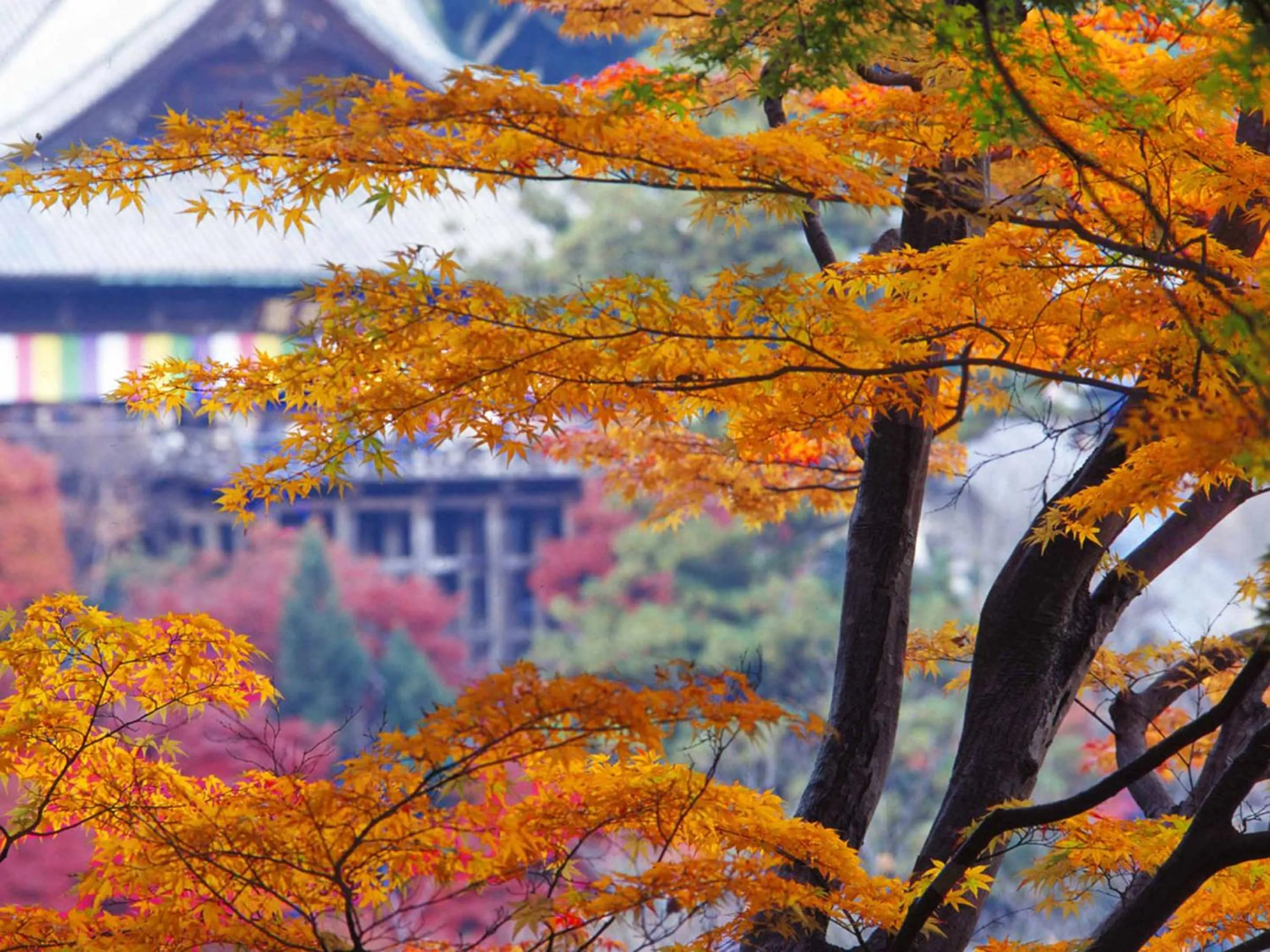 Nearby landmark in Itaniya
