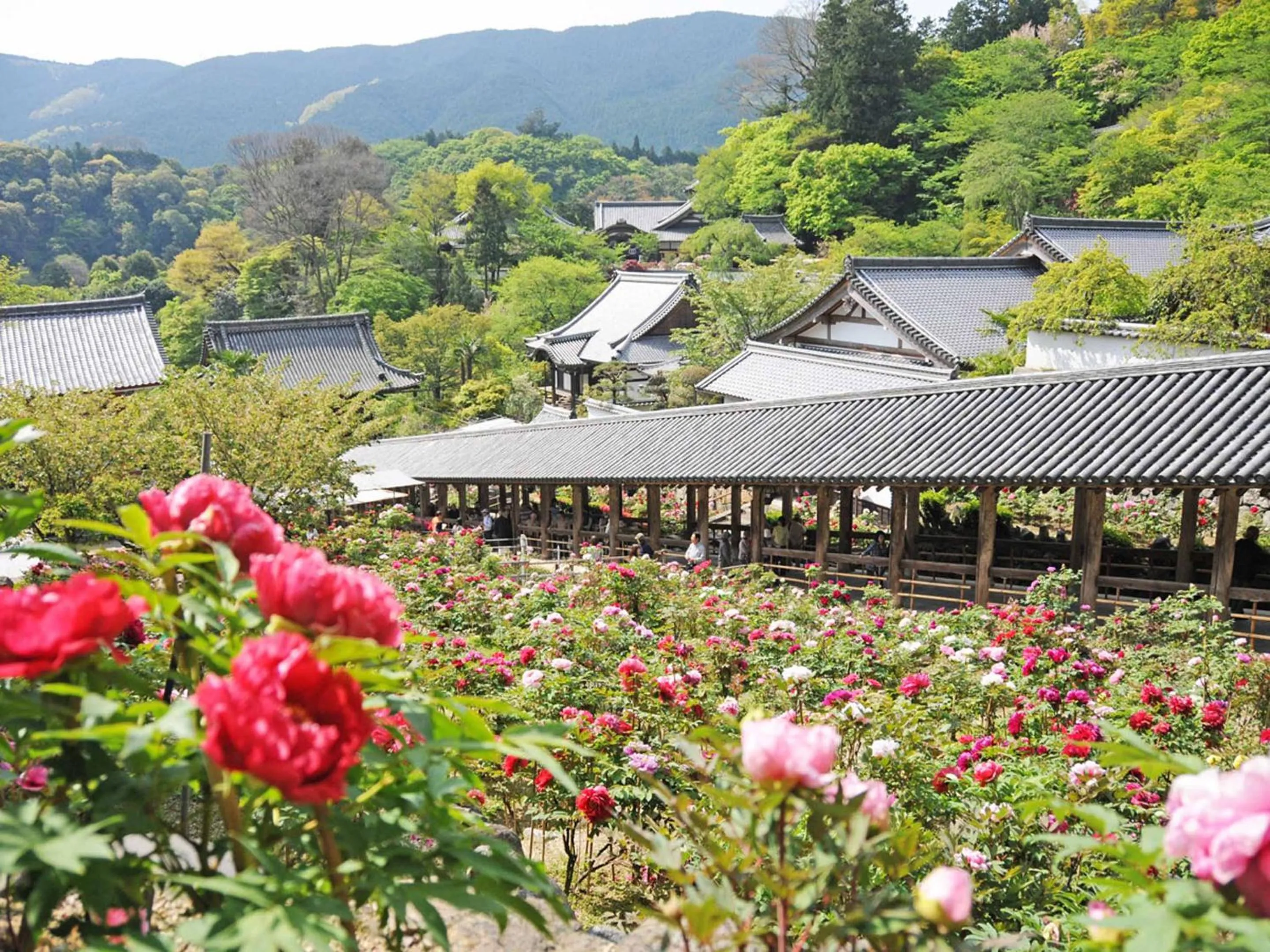 Nearby landmark in Itaniya