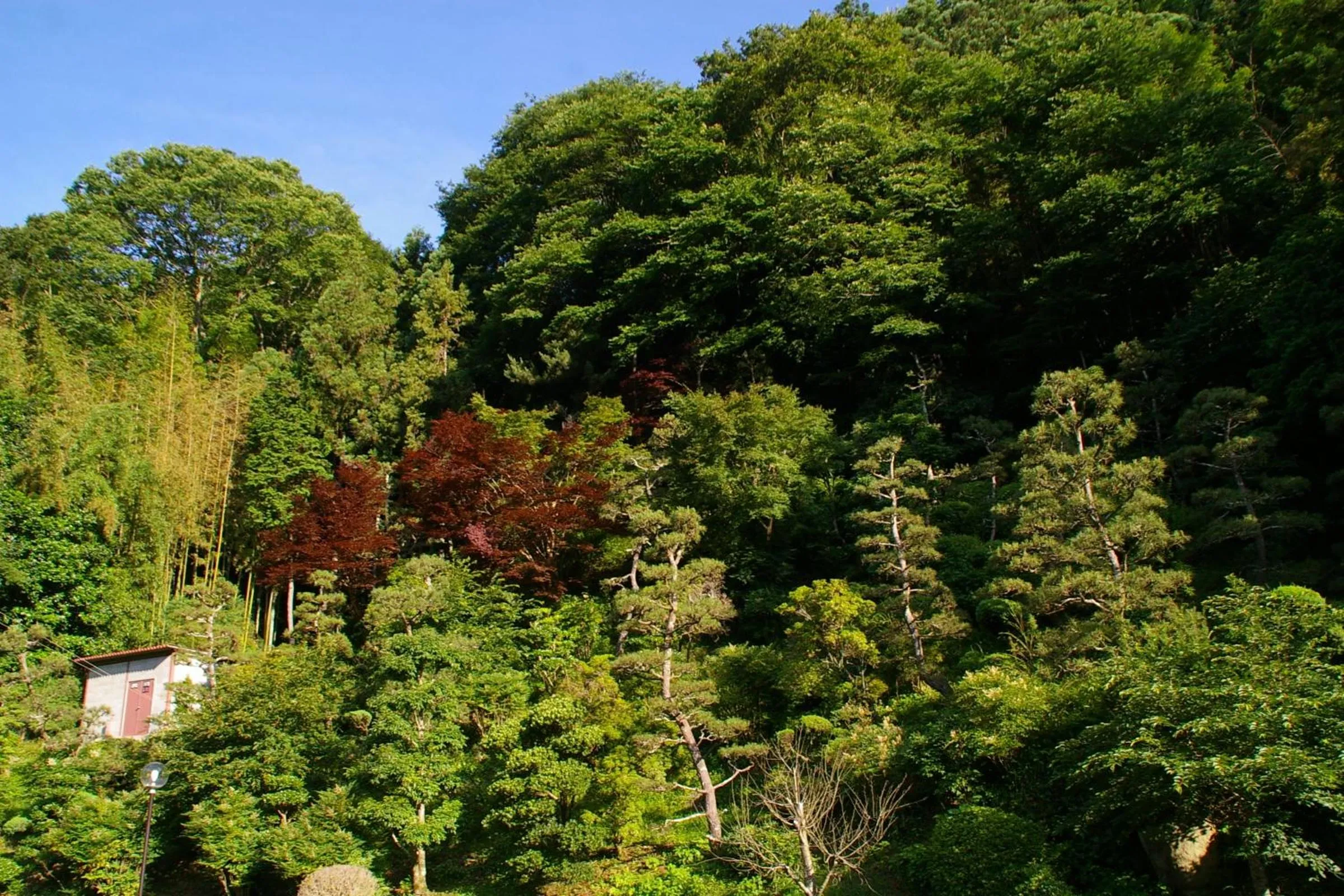 View (from property/room) in Itaniya