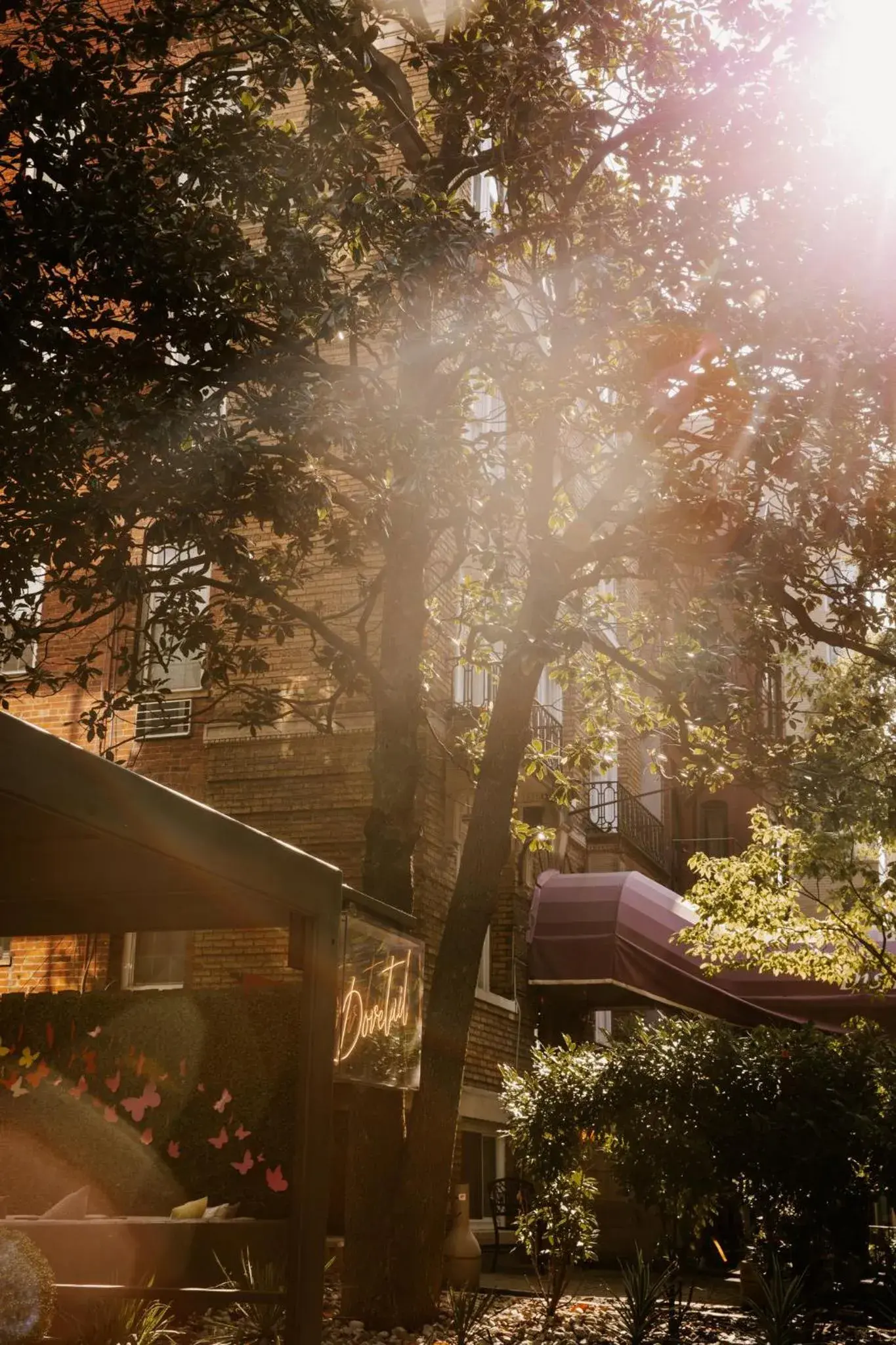 Property building in Viceroy Washington DC Property building in Viceroy Washington DC