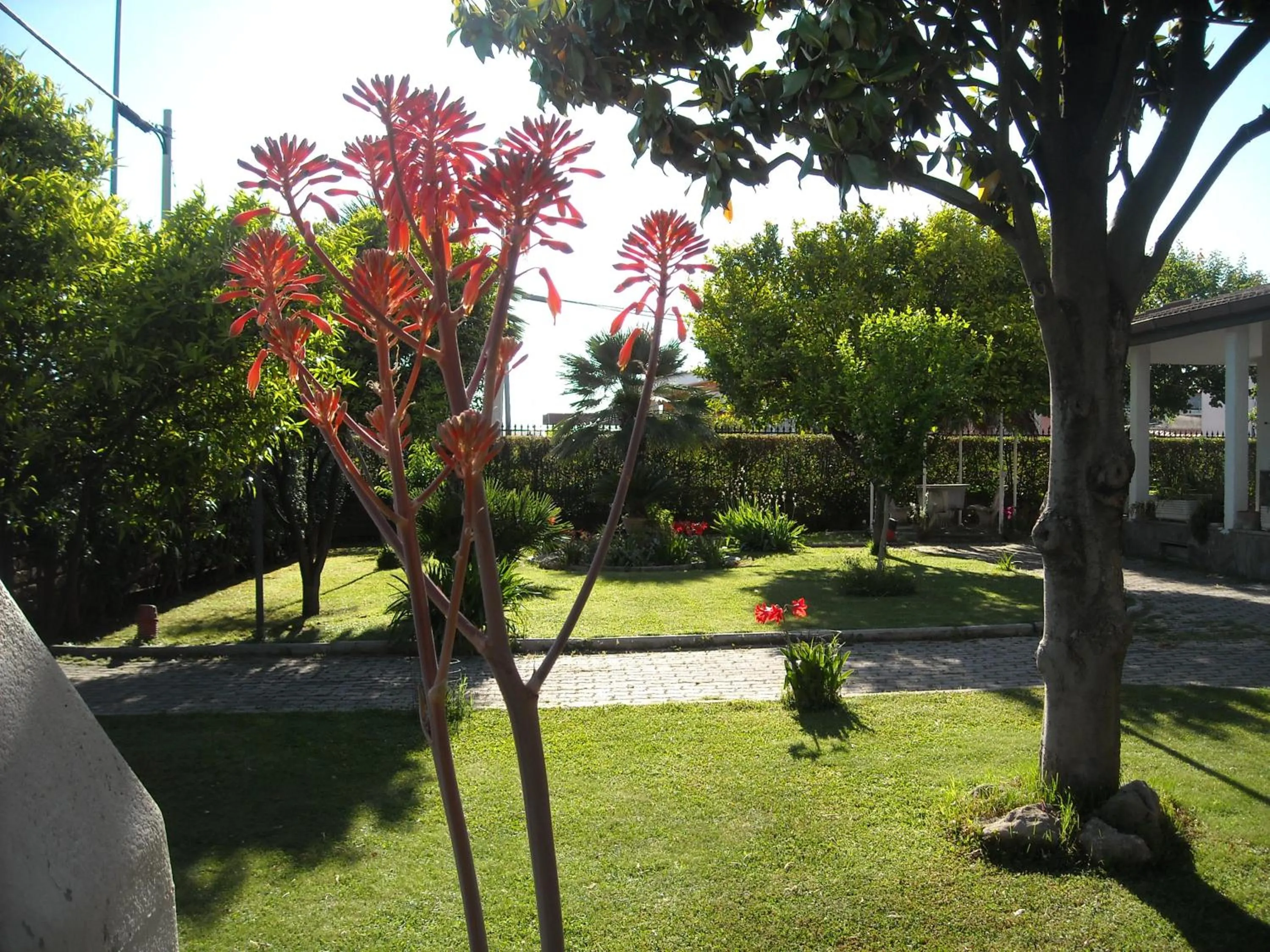 Garden in Giardino Degli Aranci B&B