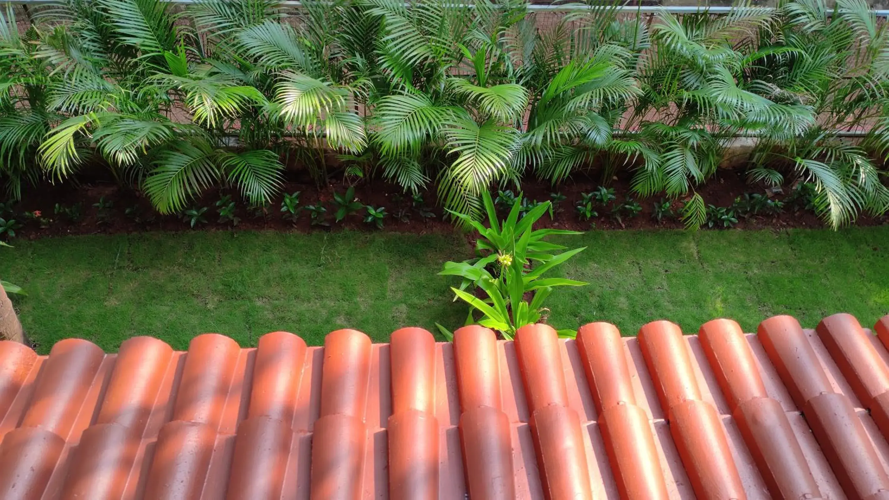 Garden view in Altrude By The Sea Garden view in Altrude By The Sea