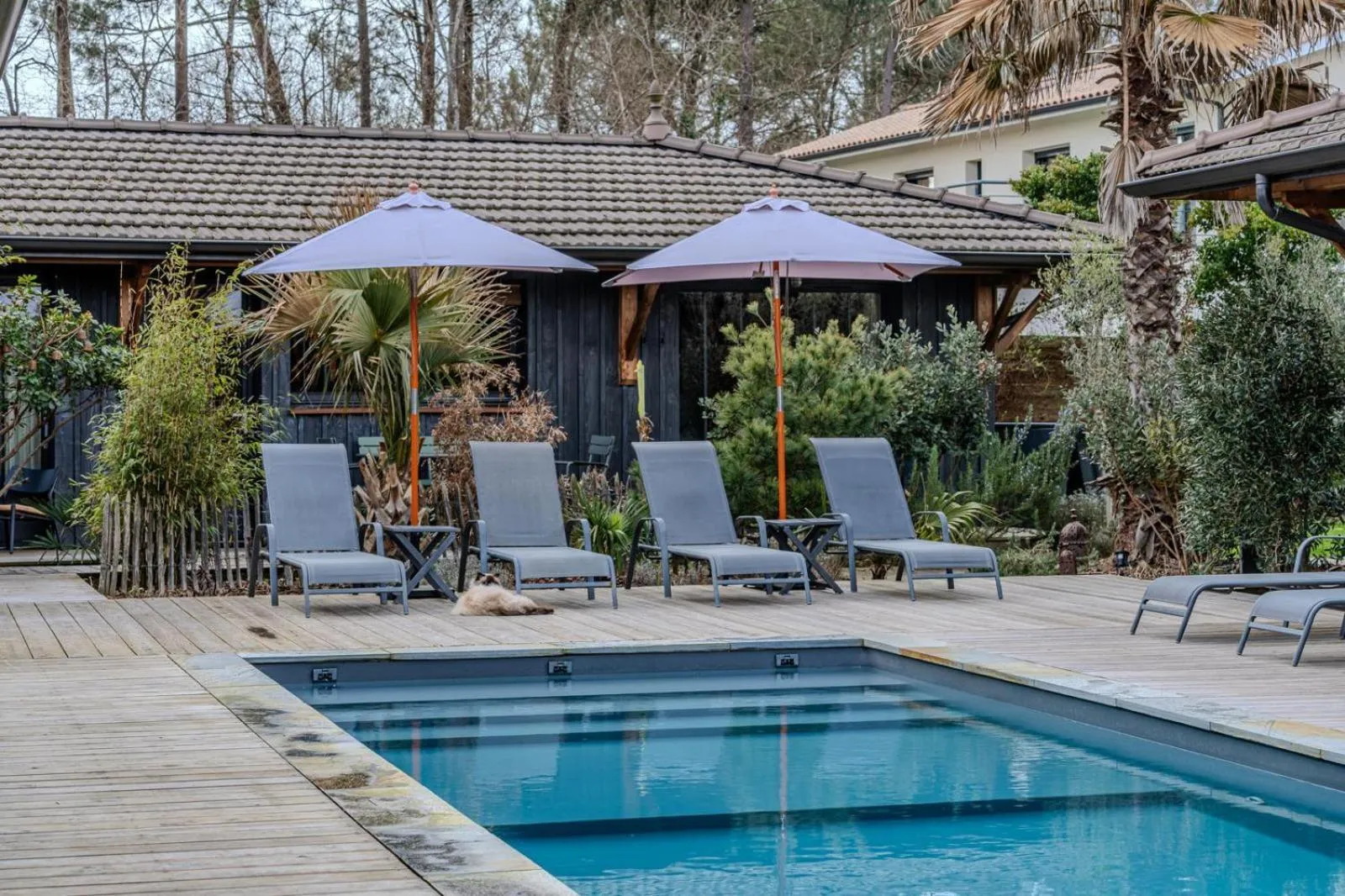 Pool view in VillaCanau