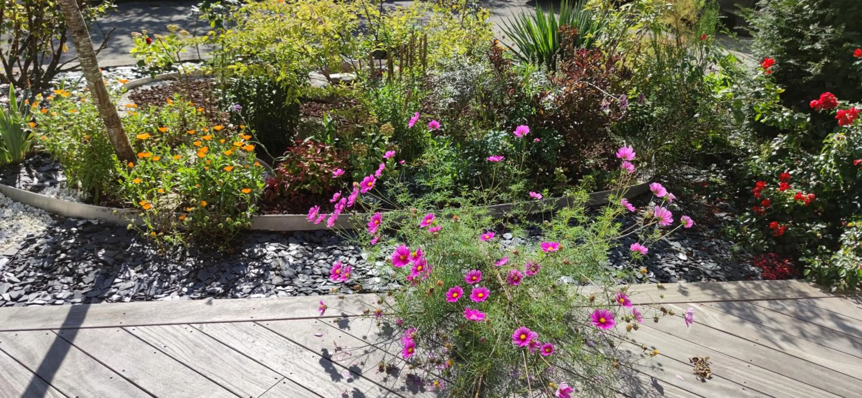 Garden in Comme une évidence