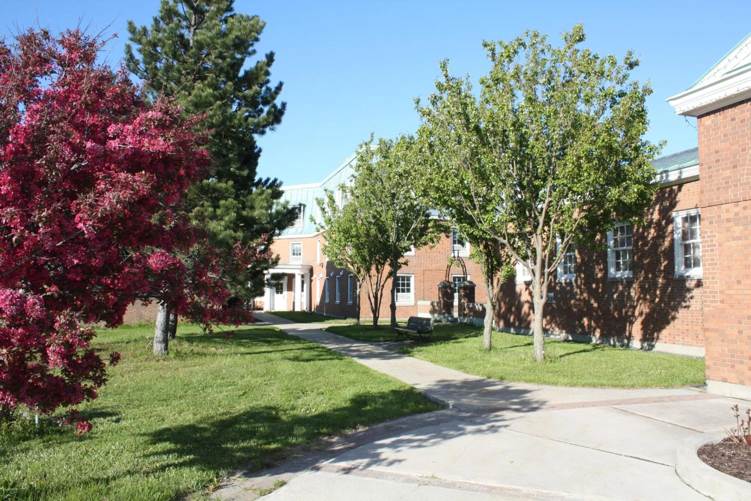 Facade/entrance in Memorial University