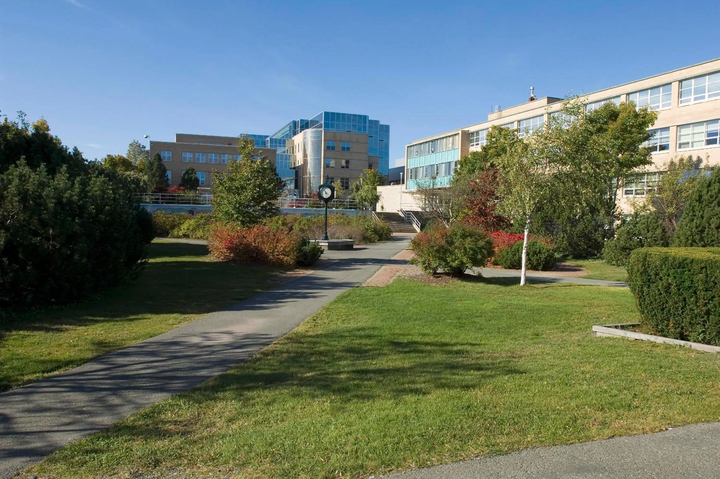 Garden in Memorial University