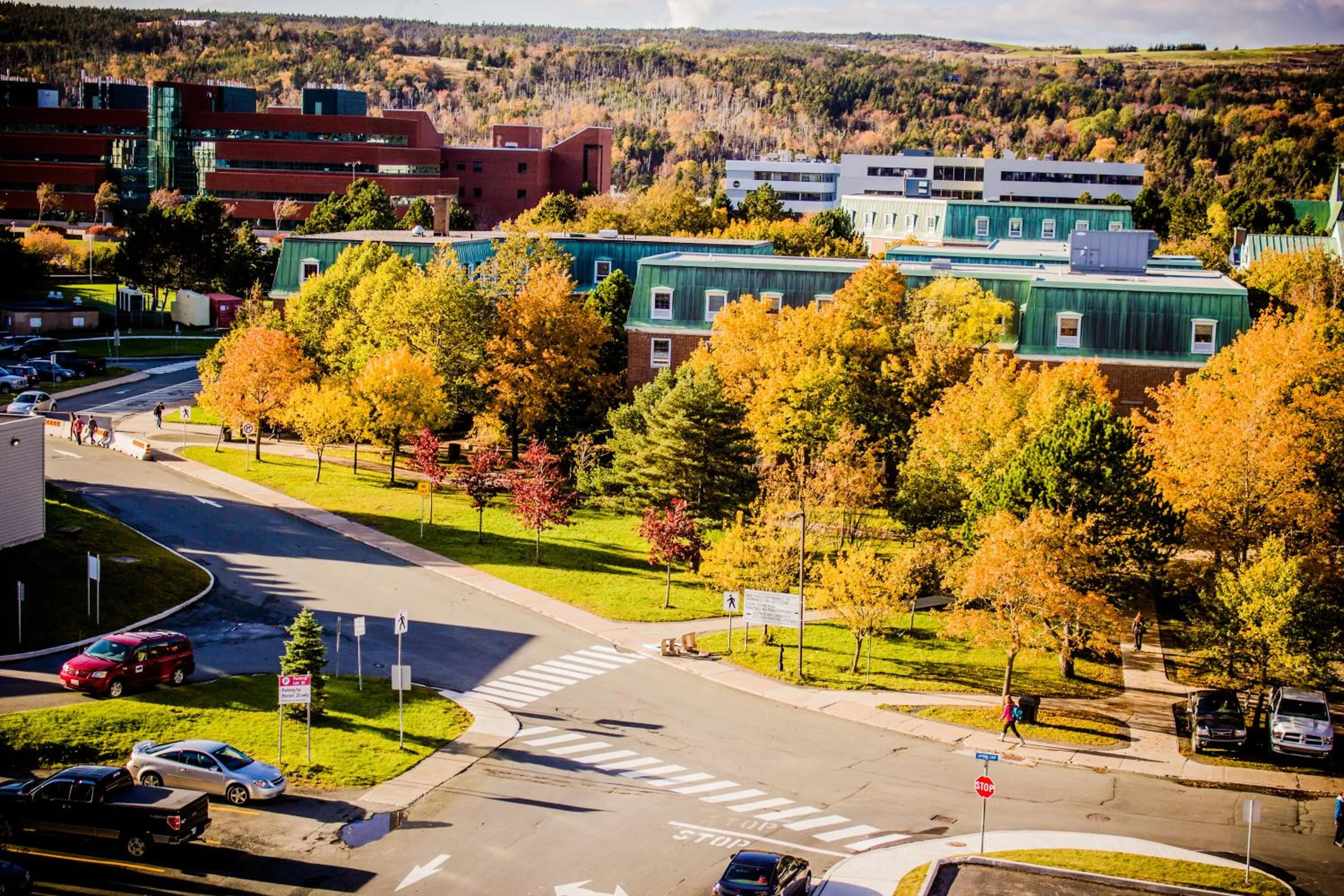 View (from property/room) in Memorial University