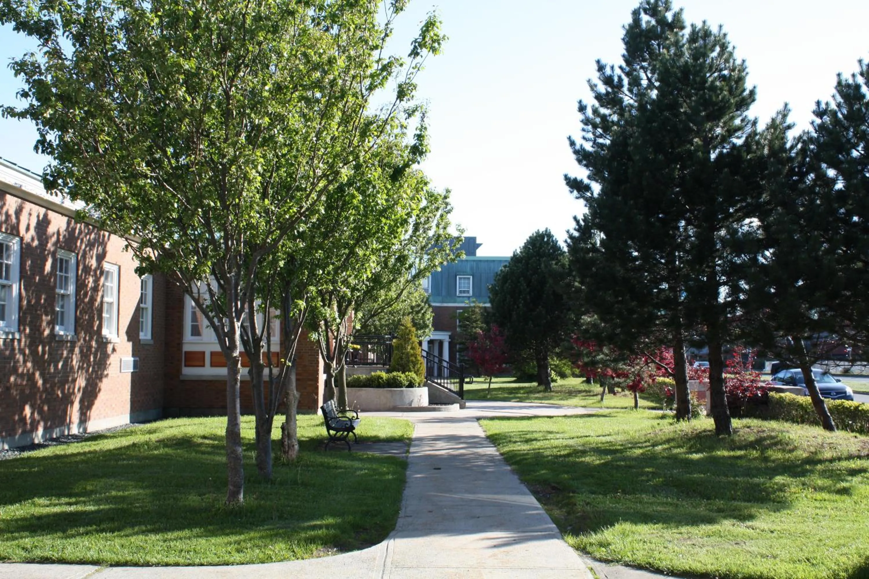 Garden in Memorial University