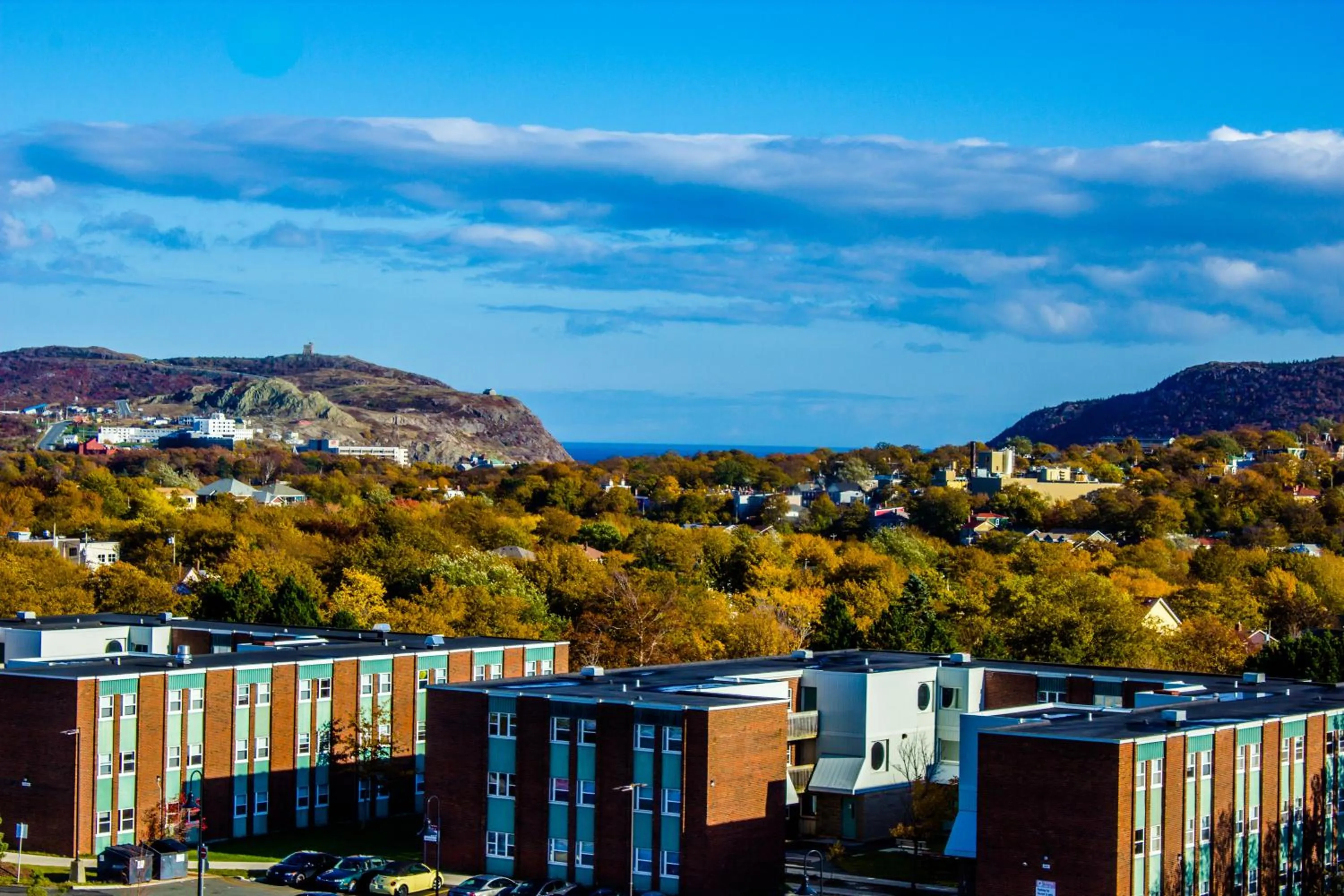 View (from property/room) in Memorial University