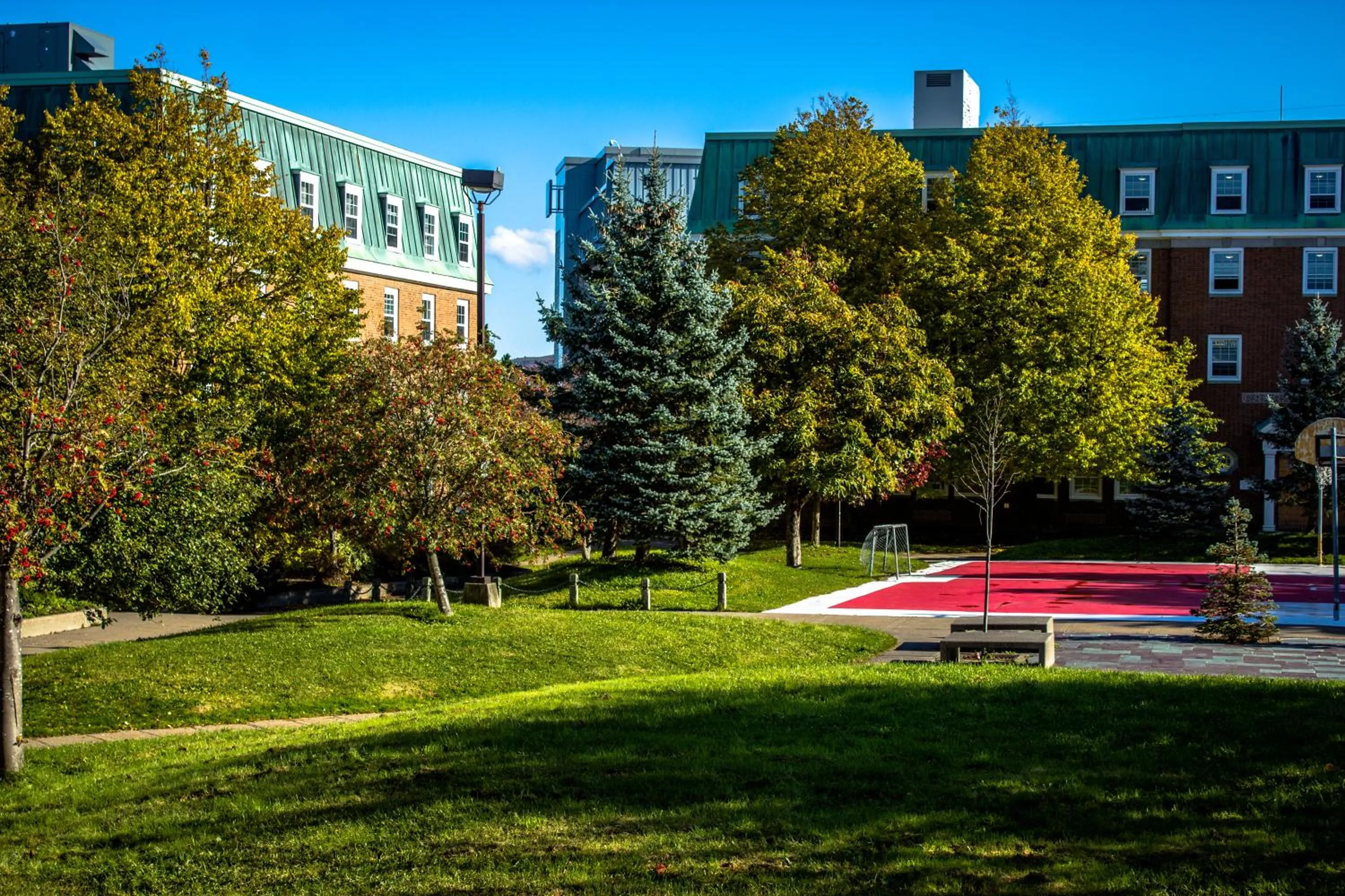 Facade/entrance in Memorial University