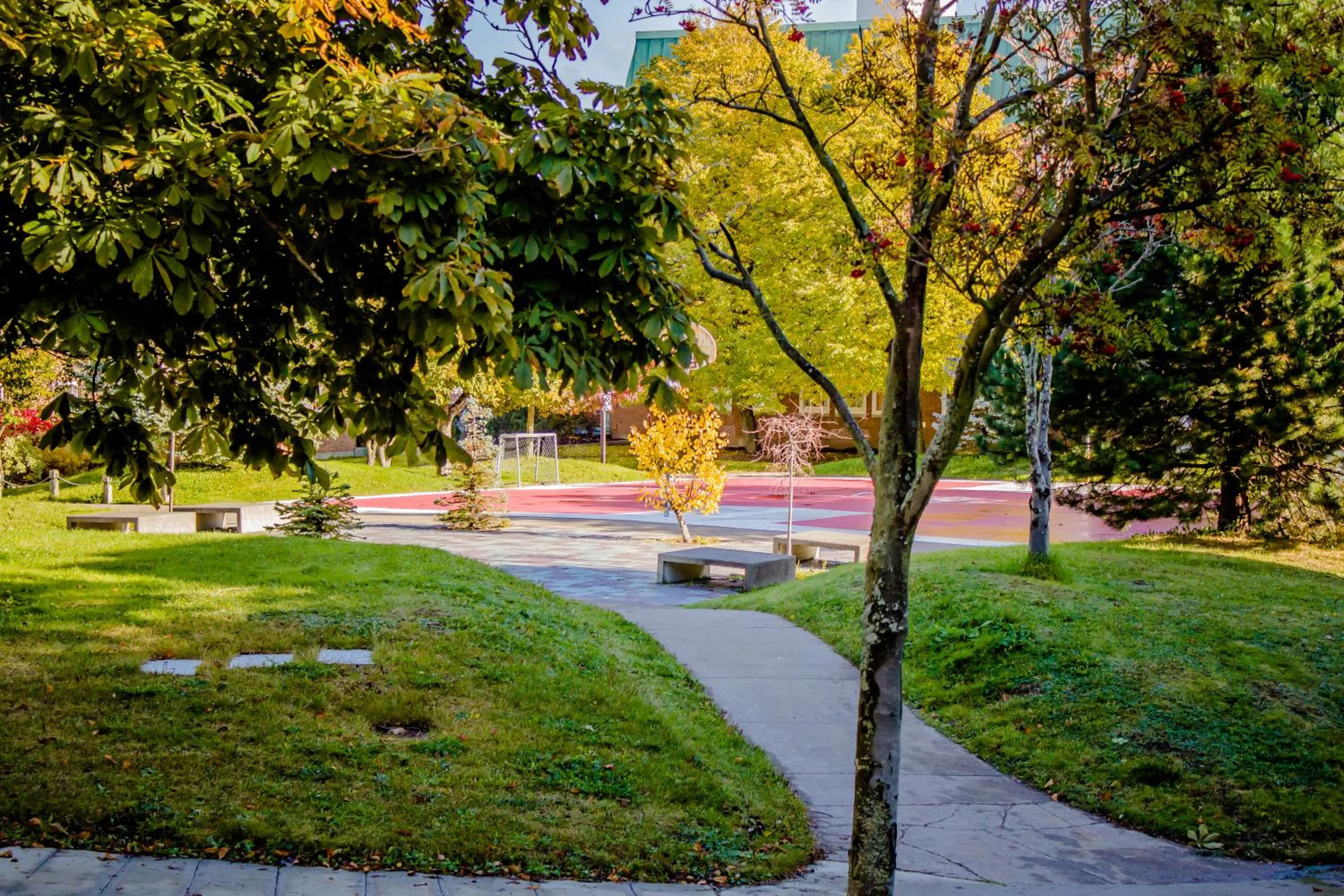 Garden in Memorial University
