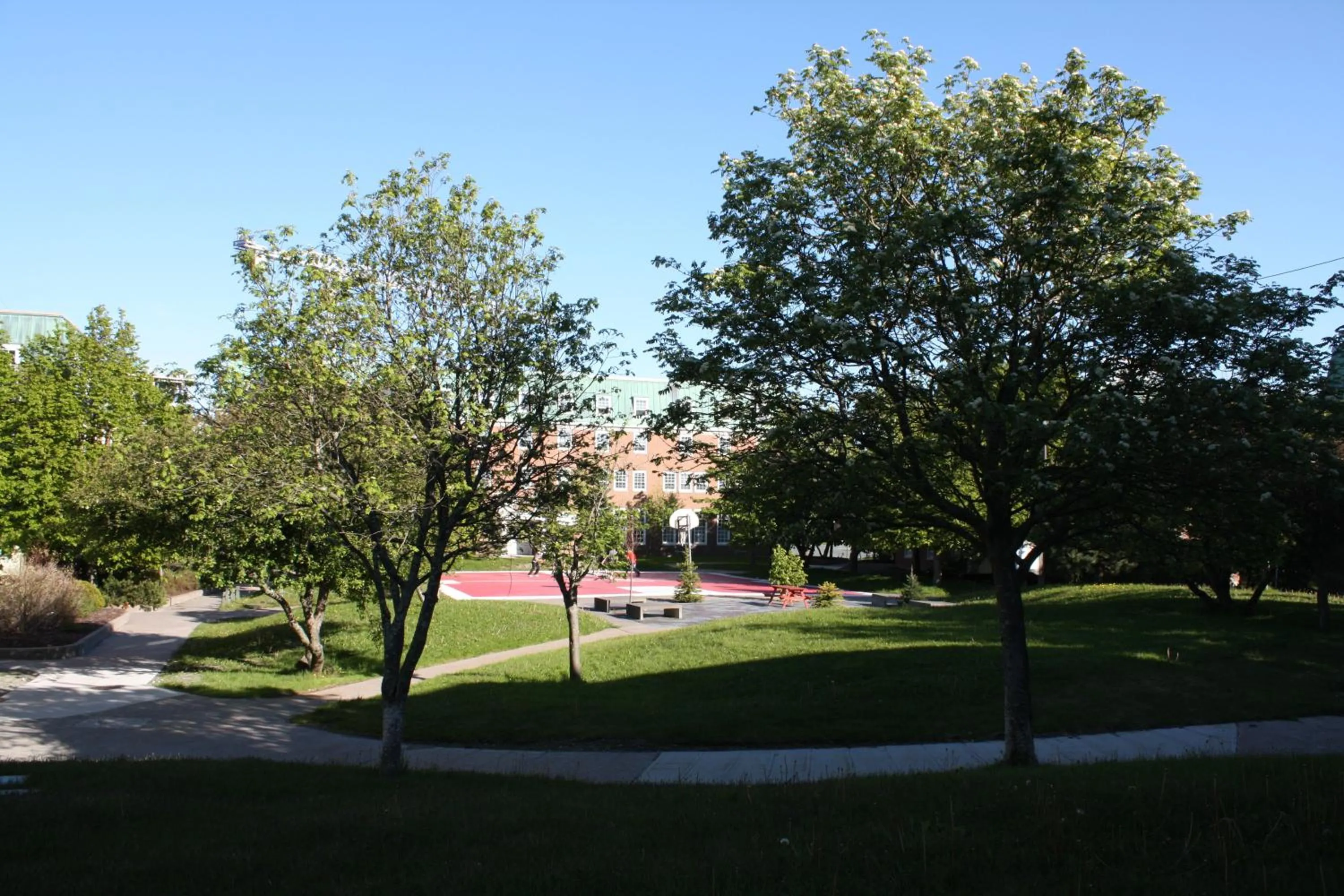 Garden in Memorial University