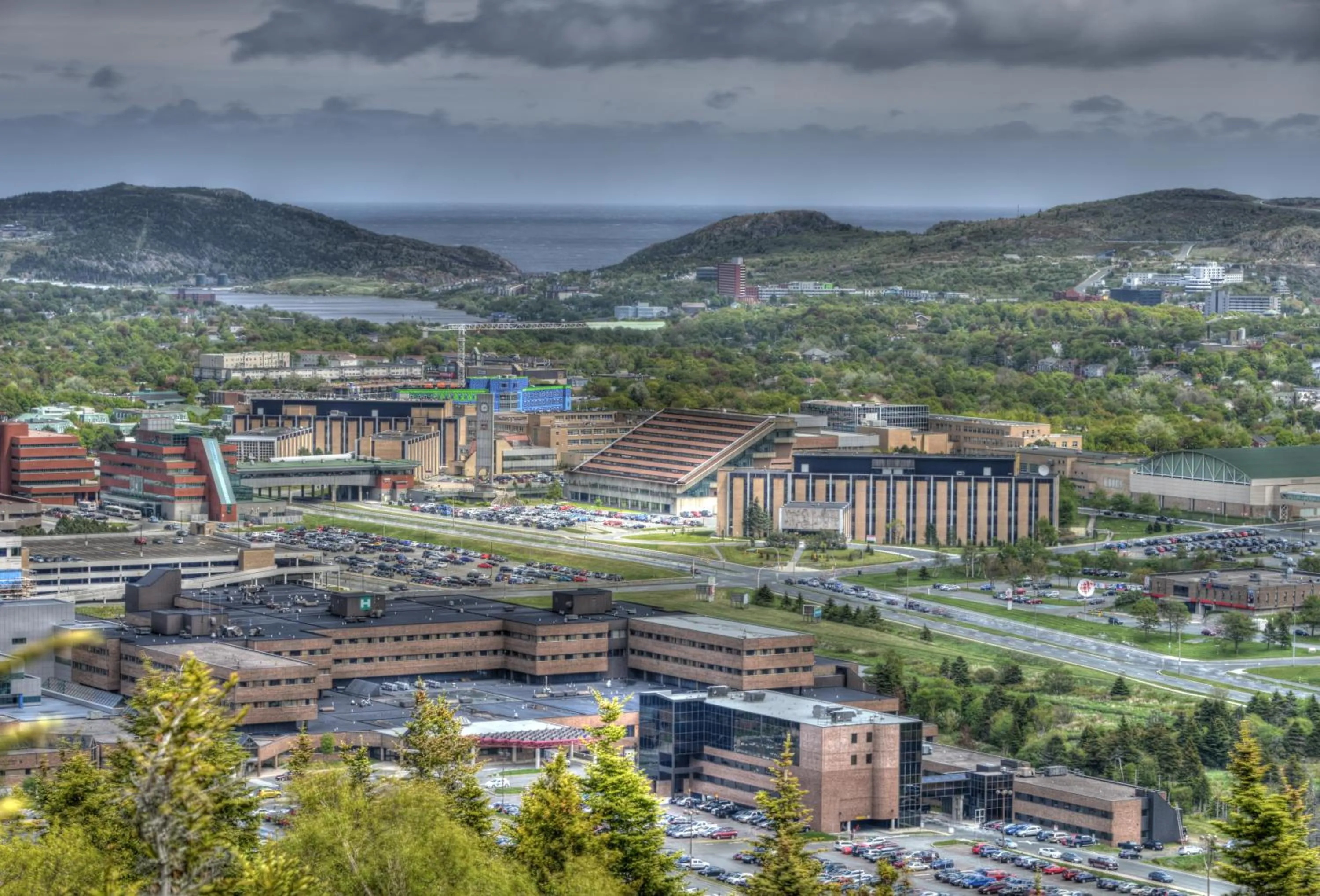 Bird's eye view in Memorial University