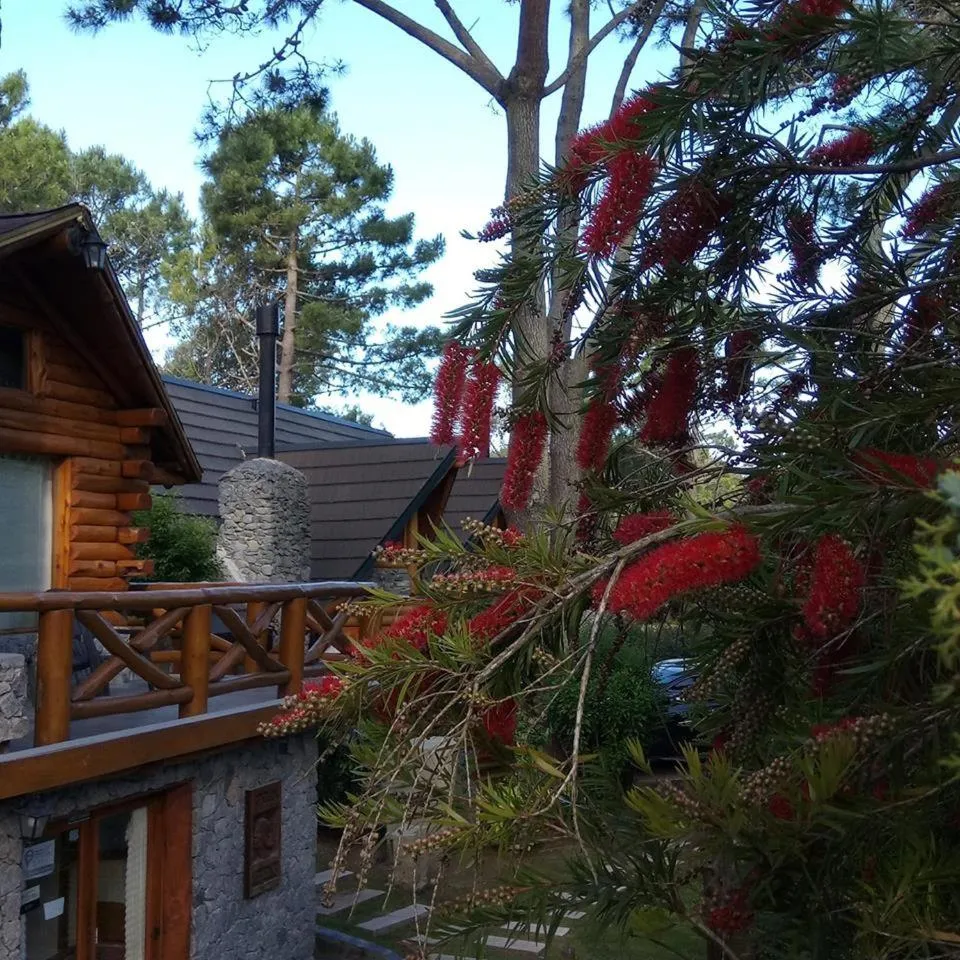 Cabañas Mapuche