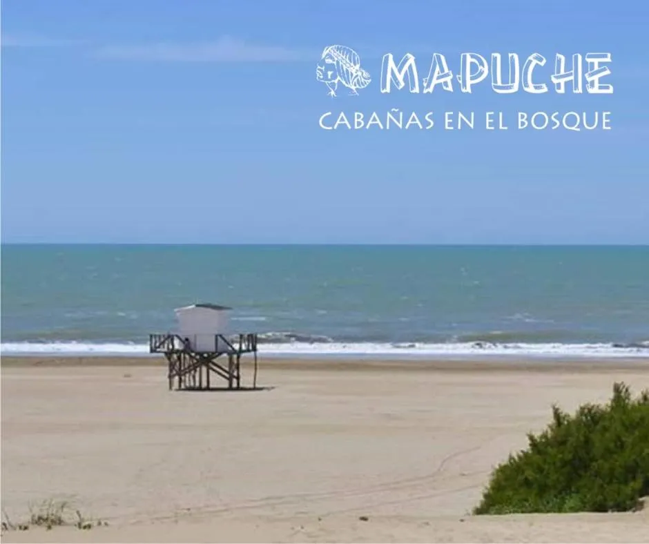 Cabañas Mapuche