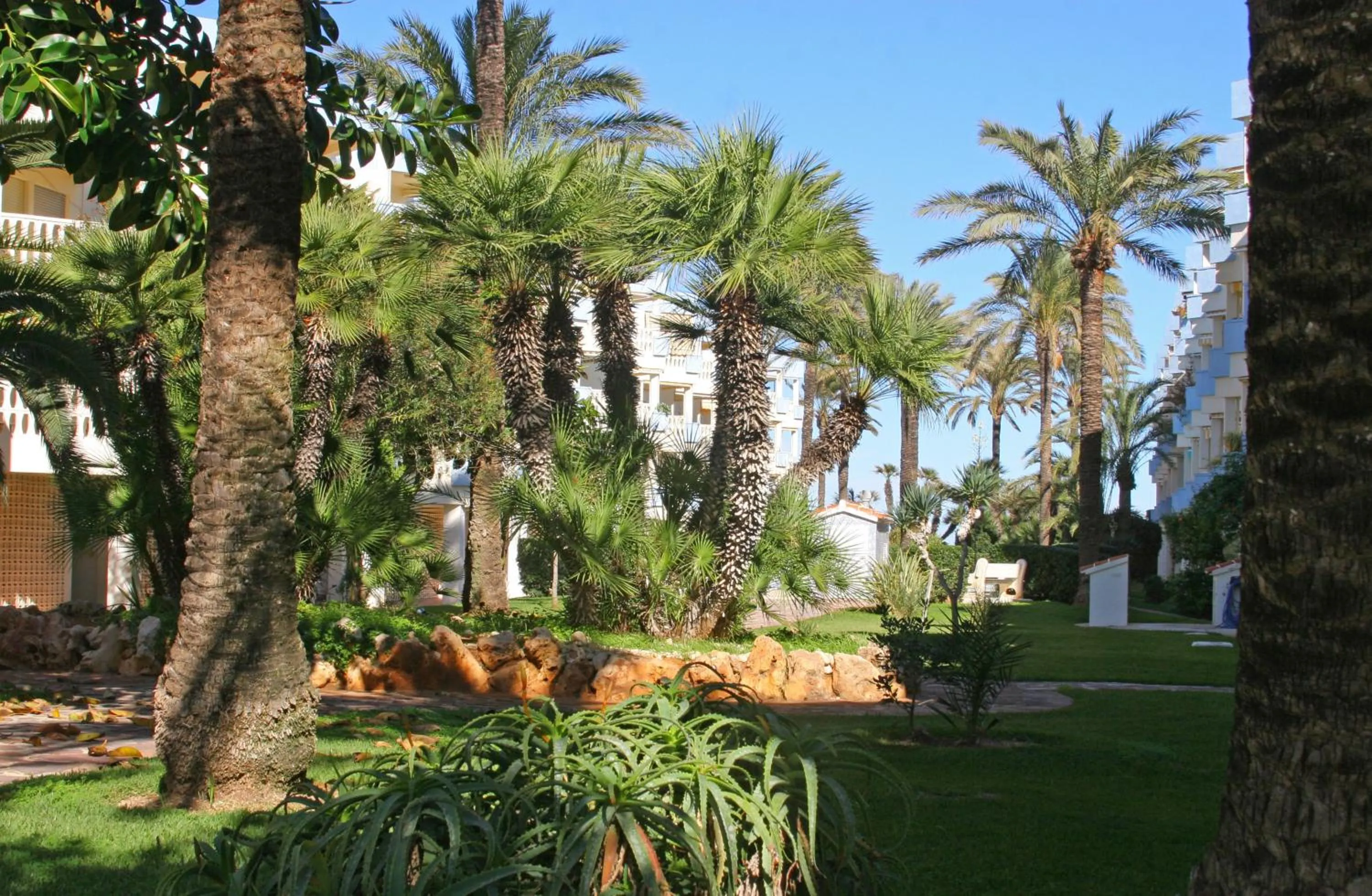 Garden in Holiday Beach
