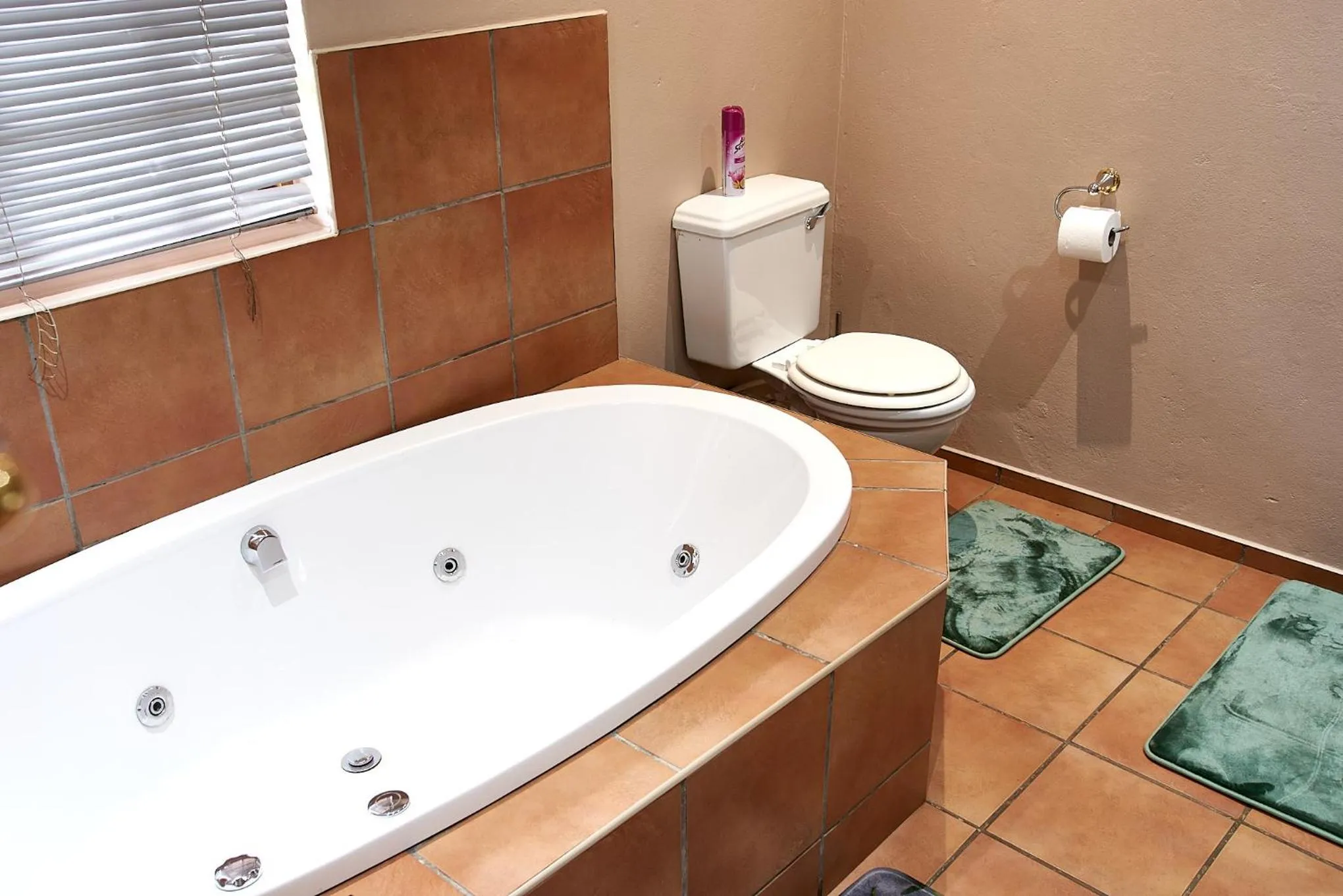 Bathroom in Eden Self Catering Clarens