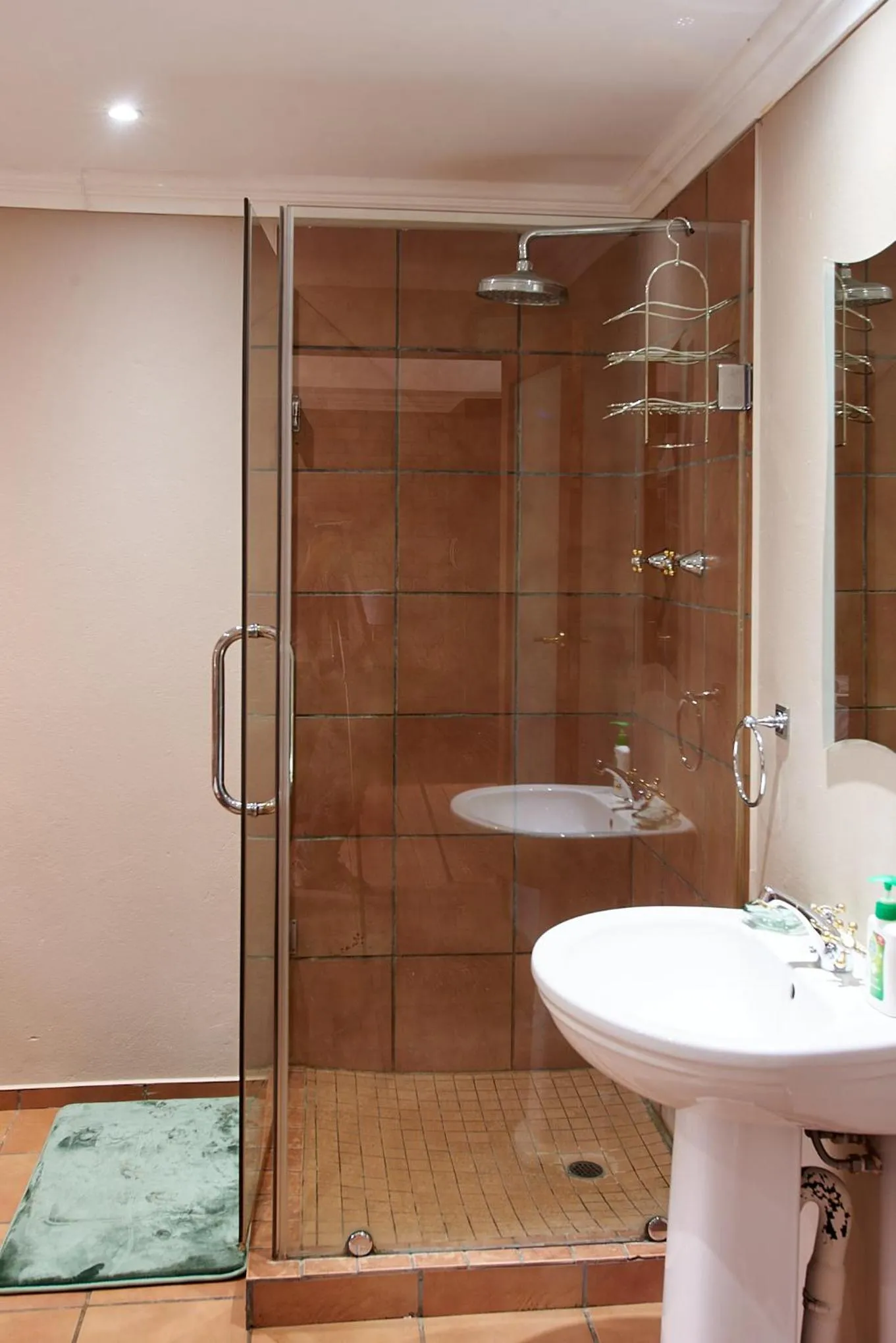 Shower in Eden Self Catering Clarens