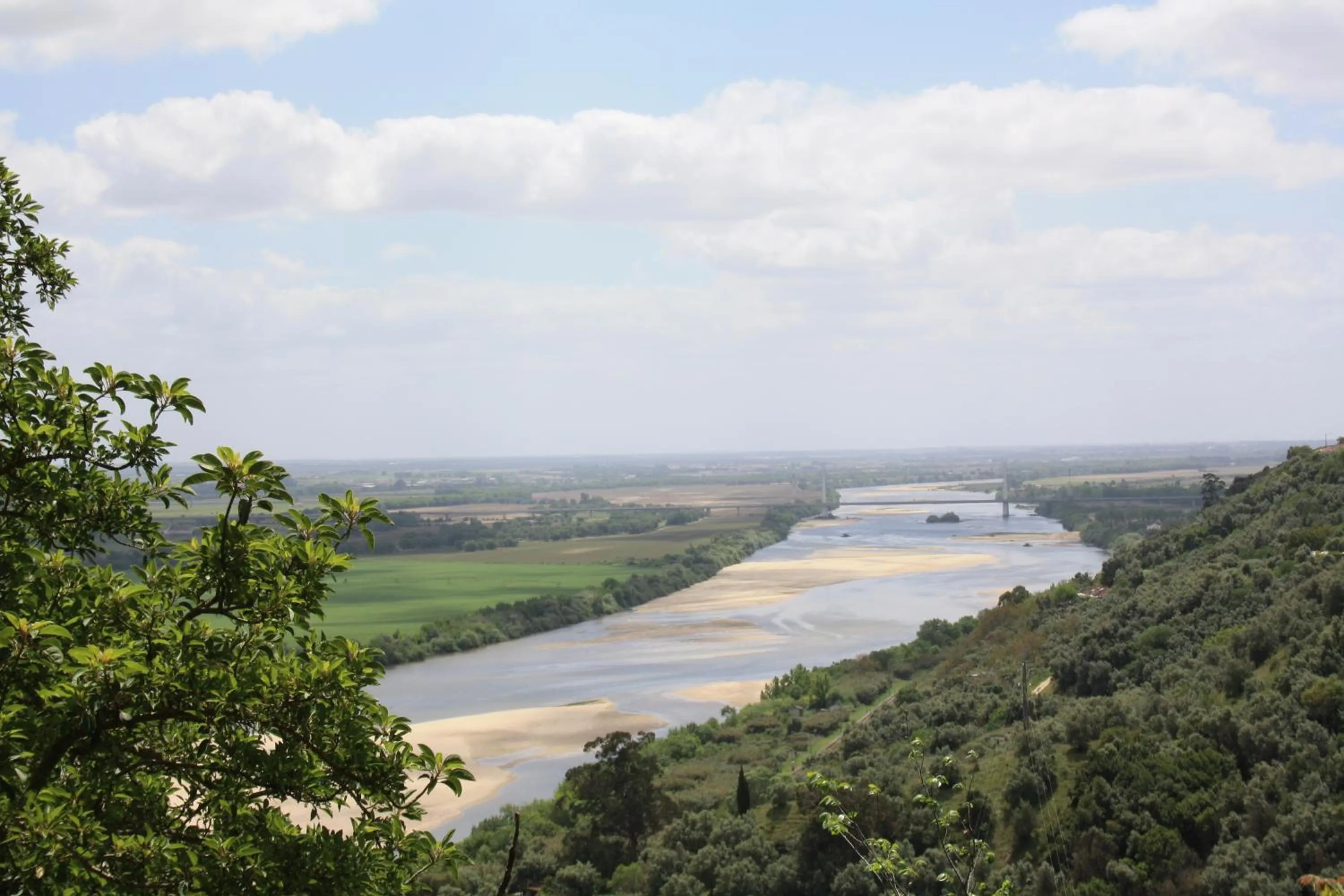 Natural landscape in Flag Hotel Santarém