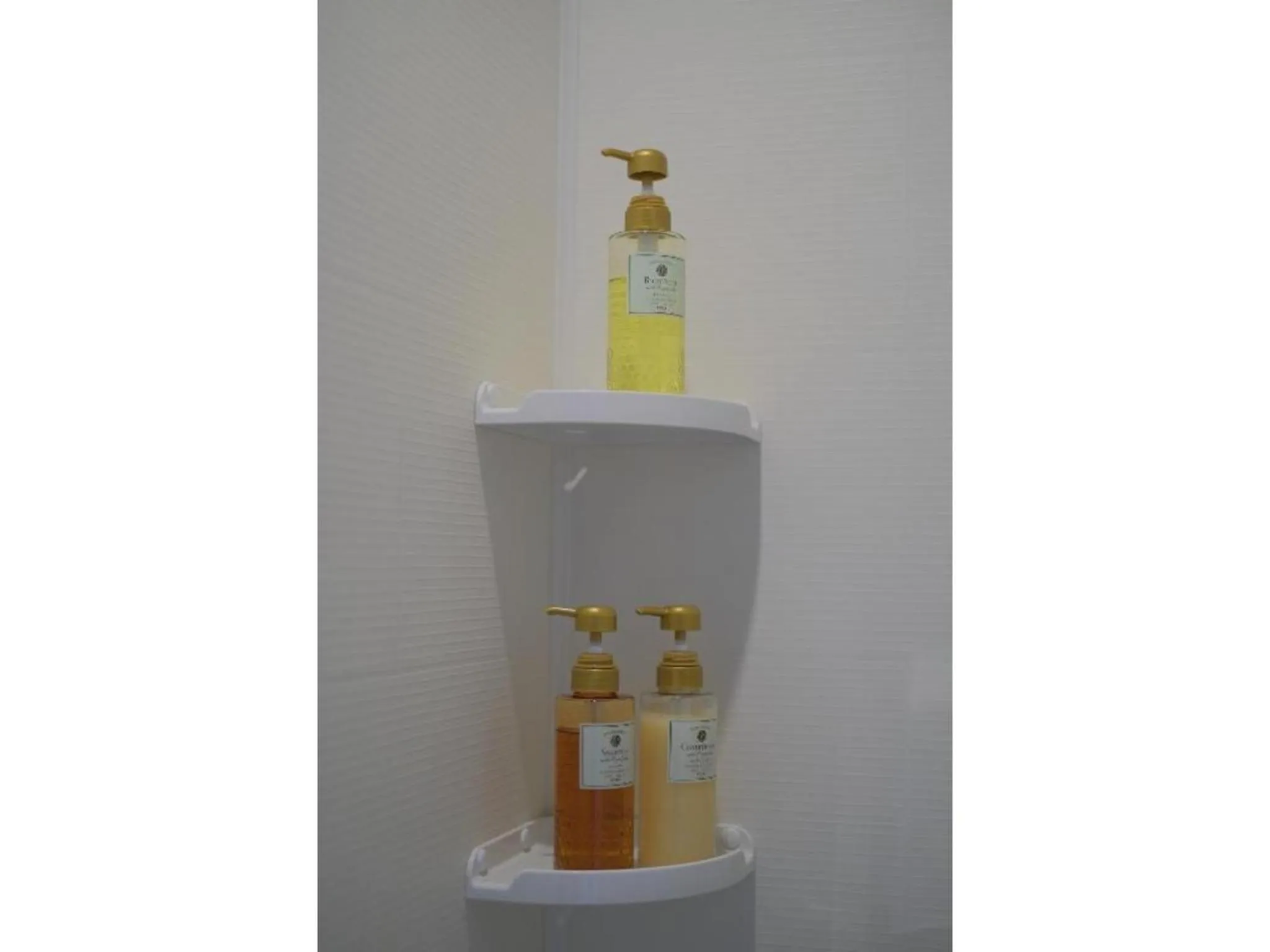 Megu fuji 2021 - Vacation STAY 74533v