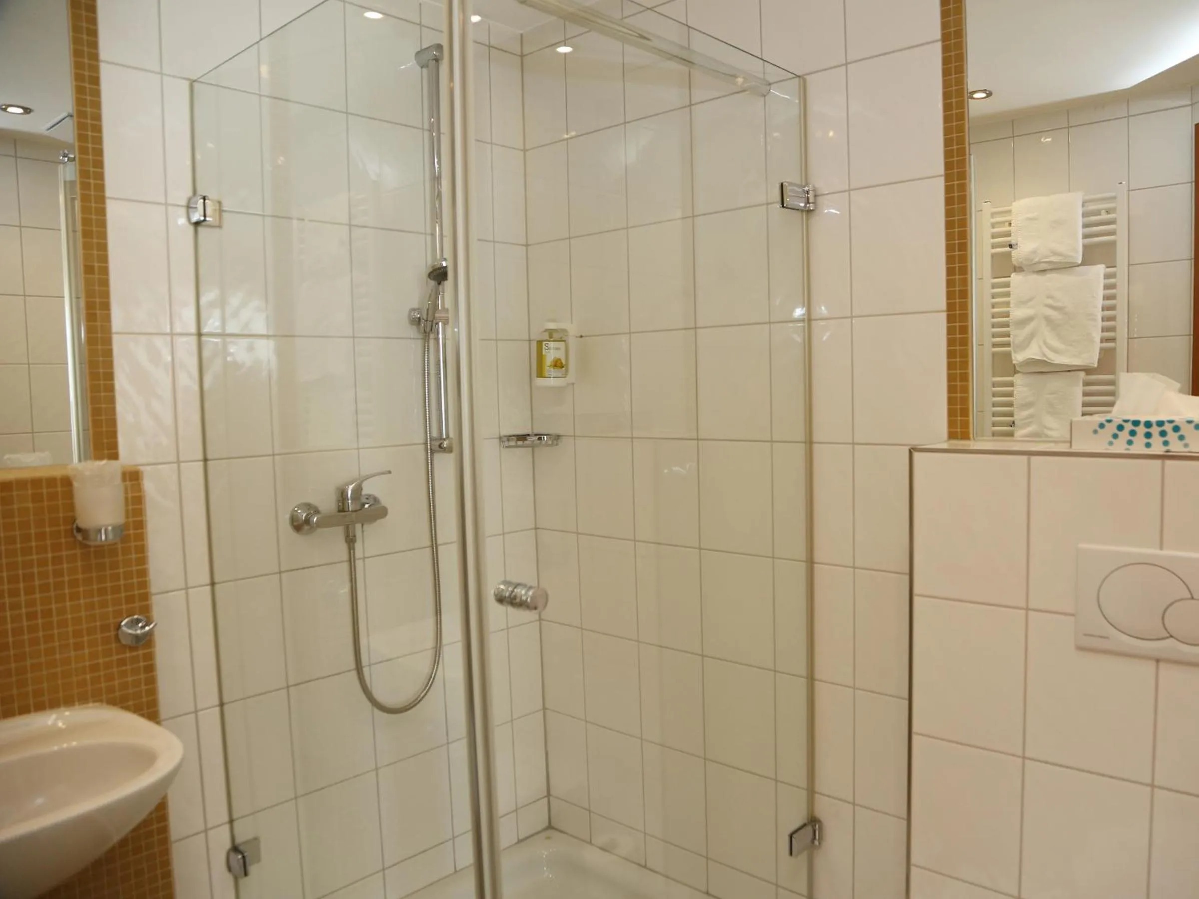 Toilet in Hotel Lindleinsmühle