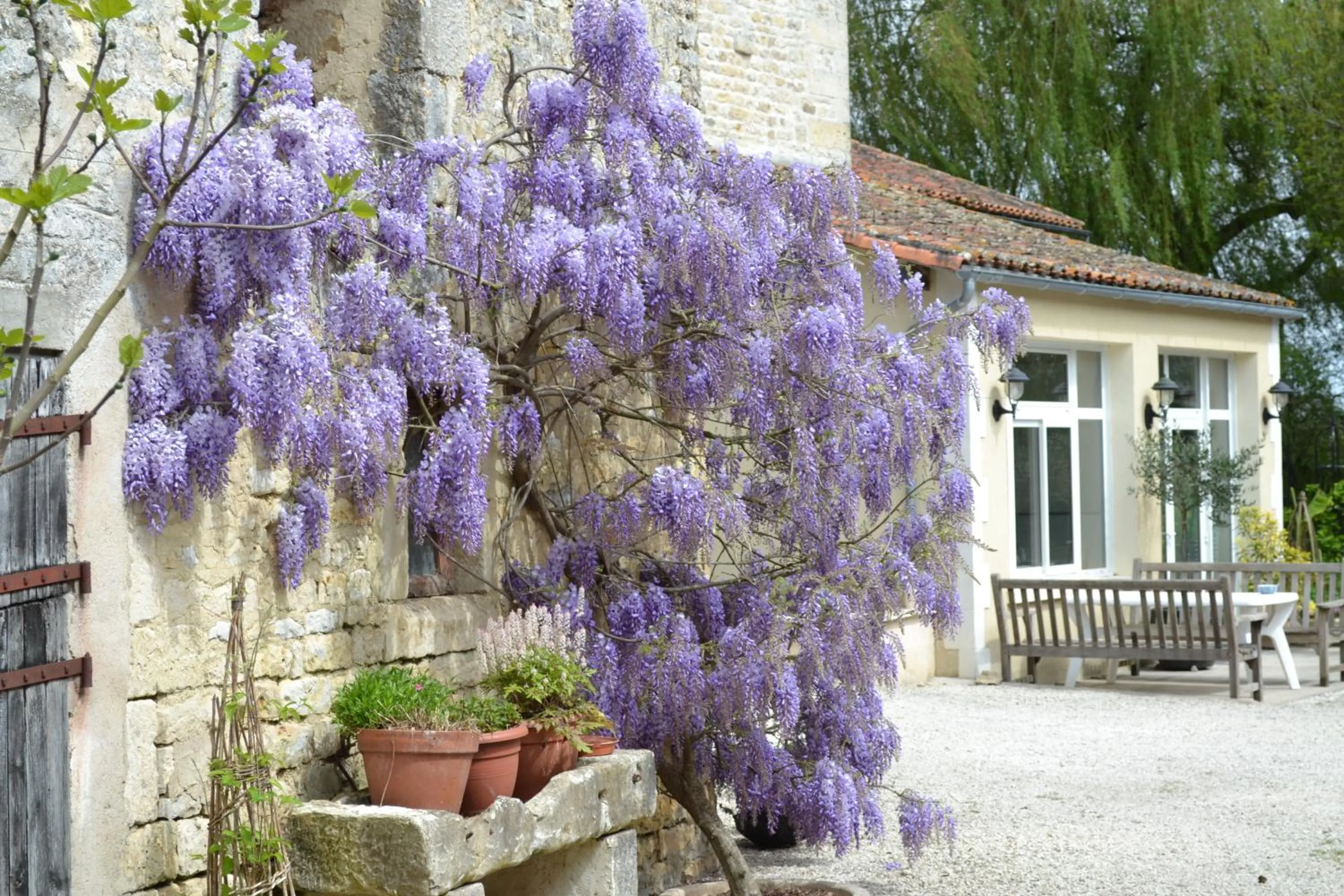 Le Moulin de Lusseau