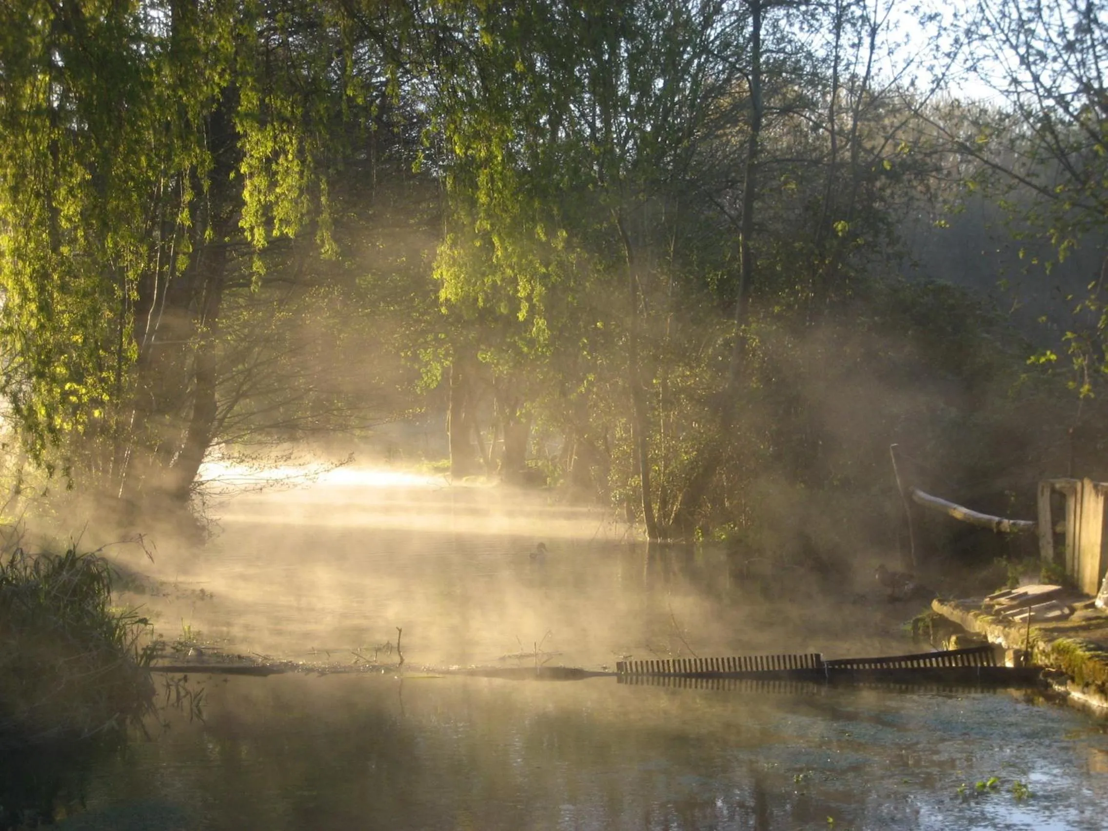 Le Moulin de Lusseau
